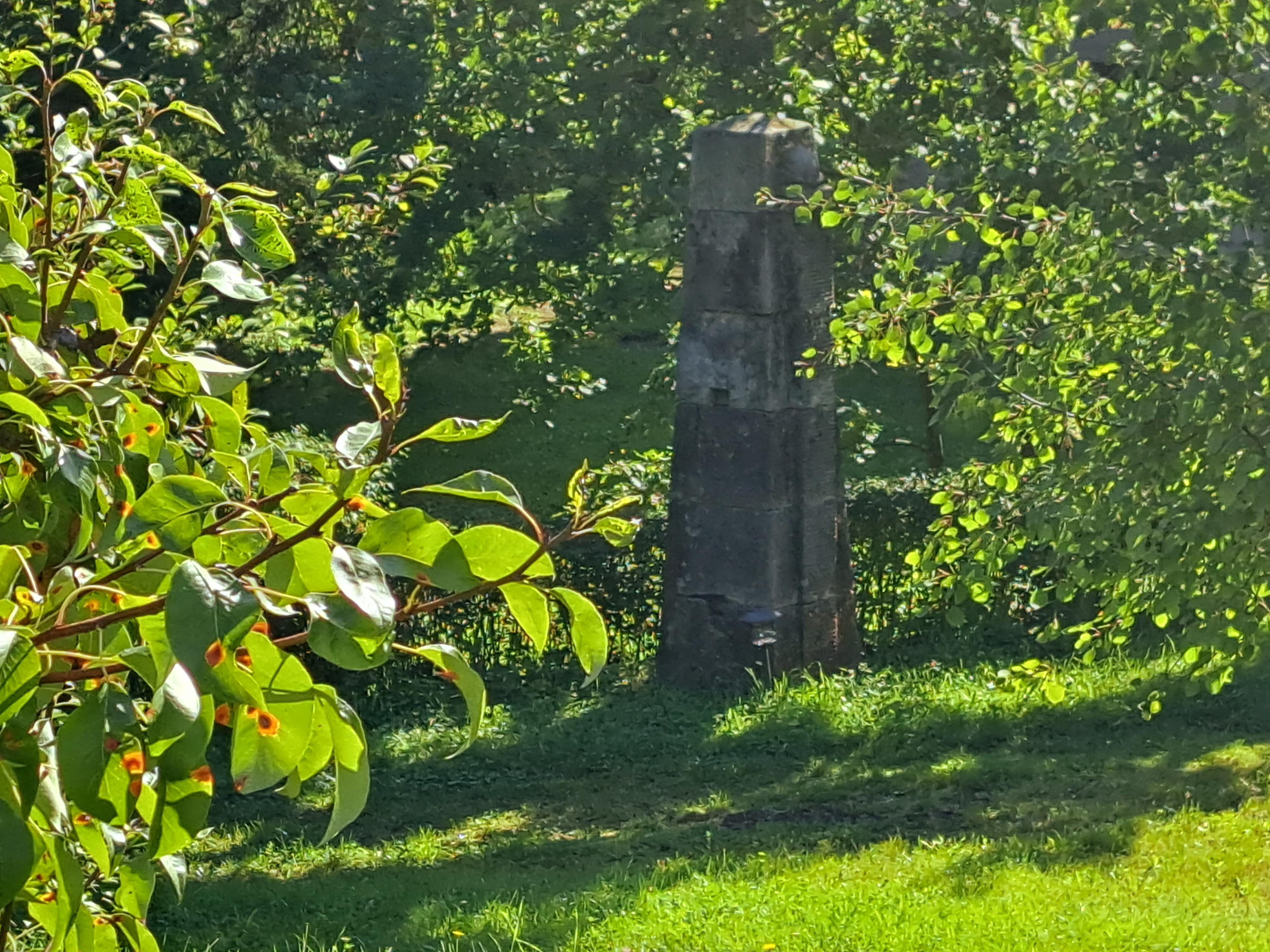 Památník J. A. Komenského