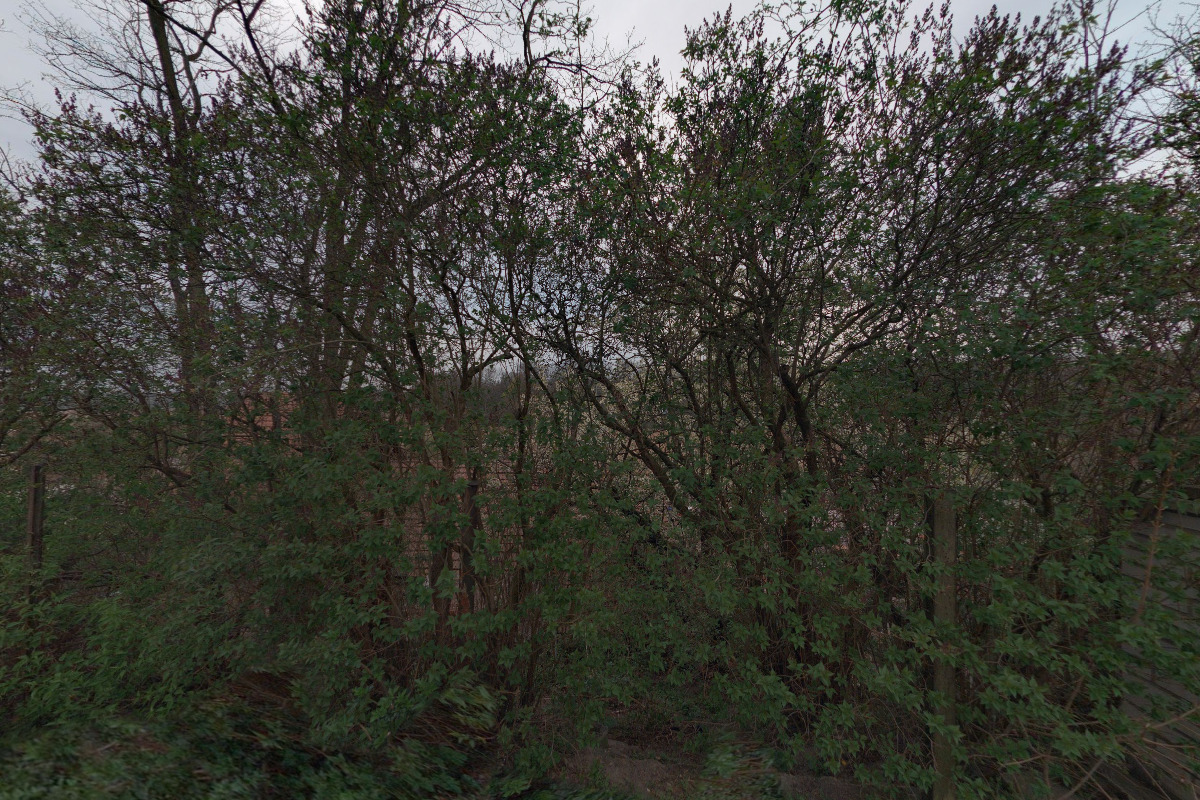 Rodinné hospodářství Mareš foto 4