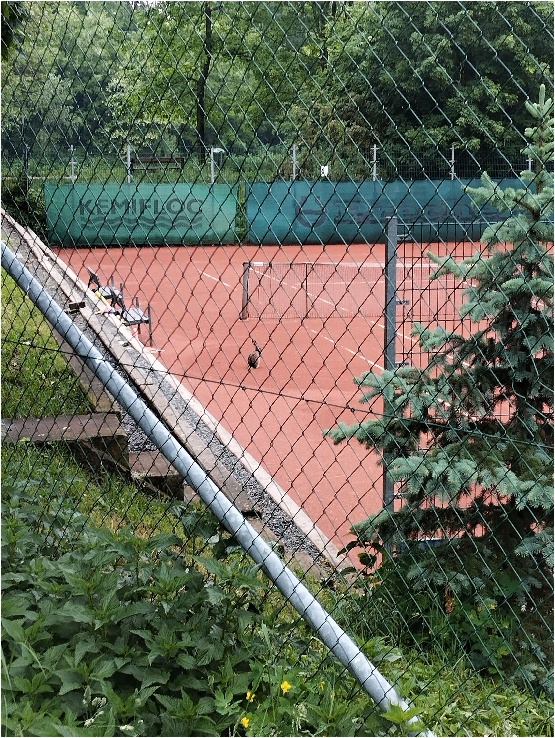 TK PRECHEZA Přerov, z.s. foto 4