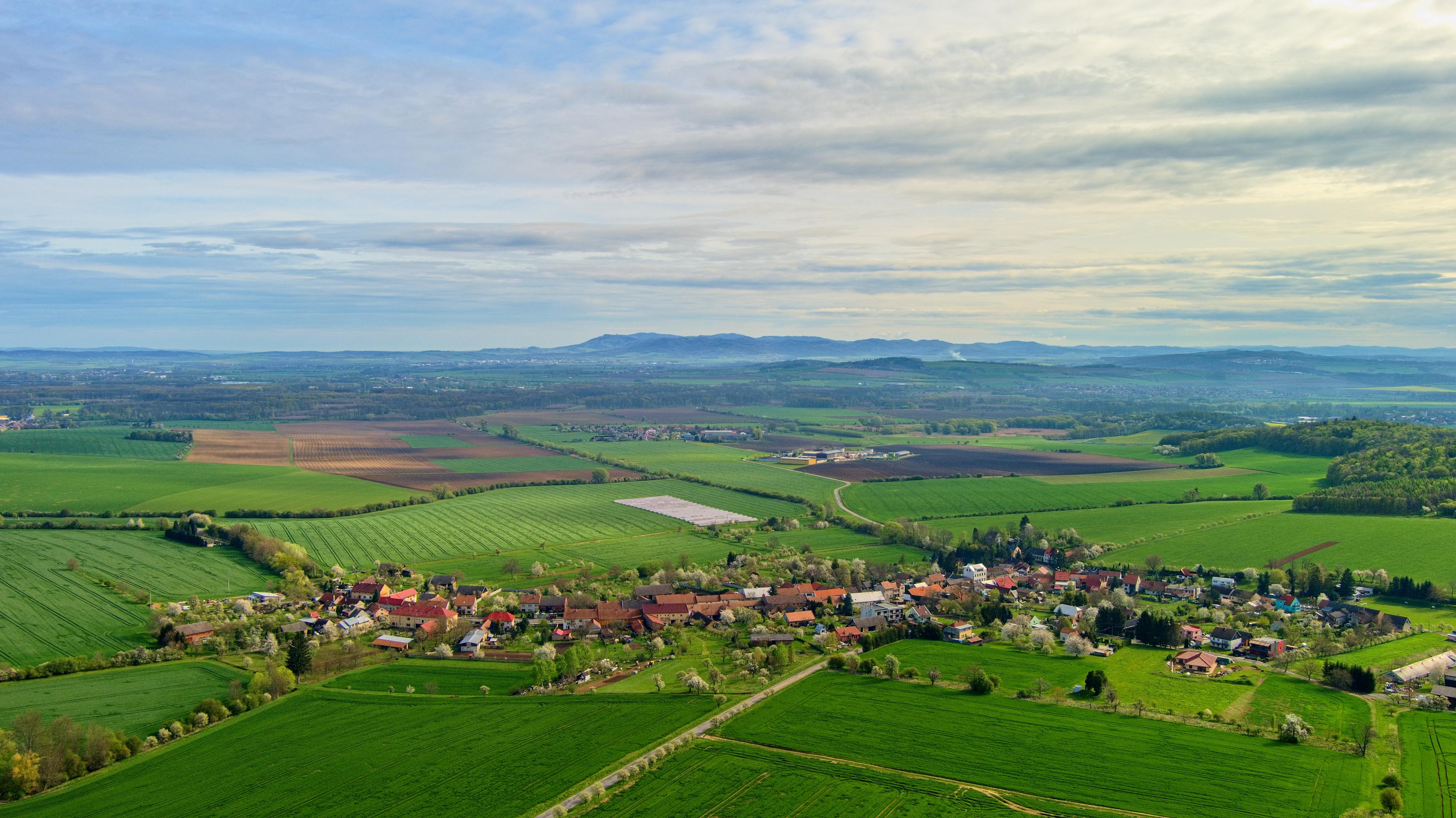 Bařice - Velké Těšany - obecní úřad foto 6