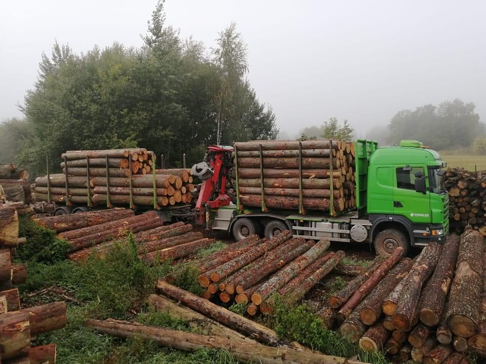 GREENBOSS - dřevovýroba foto 4