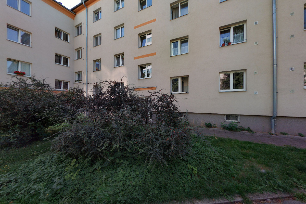 Jana Malá - Trénerka individuálních a skupinových lekcí foto 2