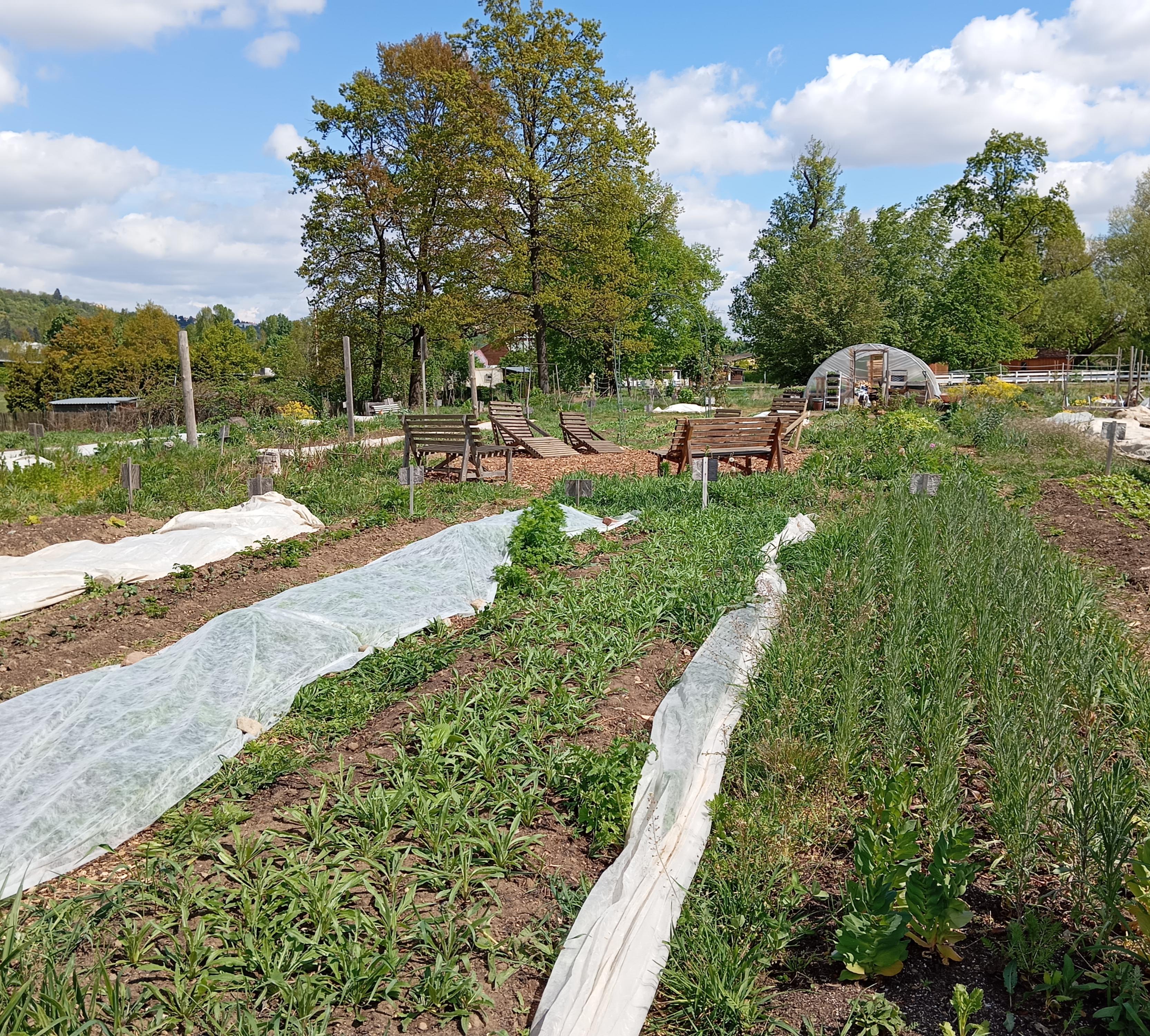 Komunitní zahrada Malý klín foto 2