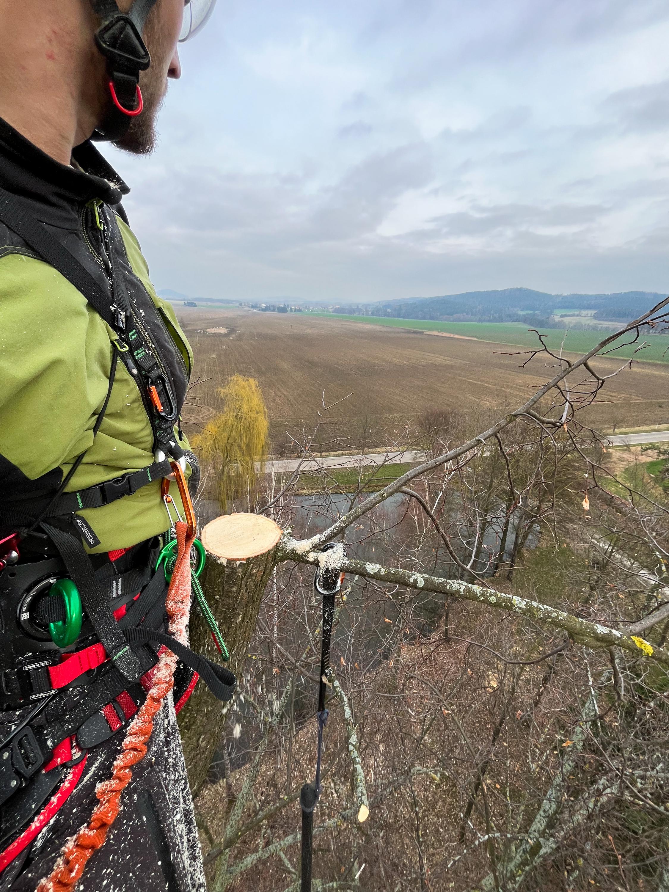 Arboristika a dendrologie Ing. Marek Cvach