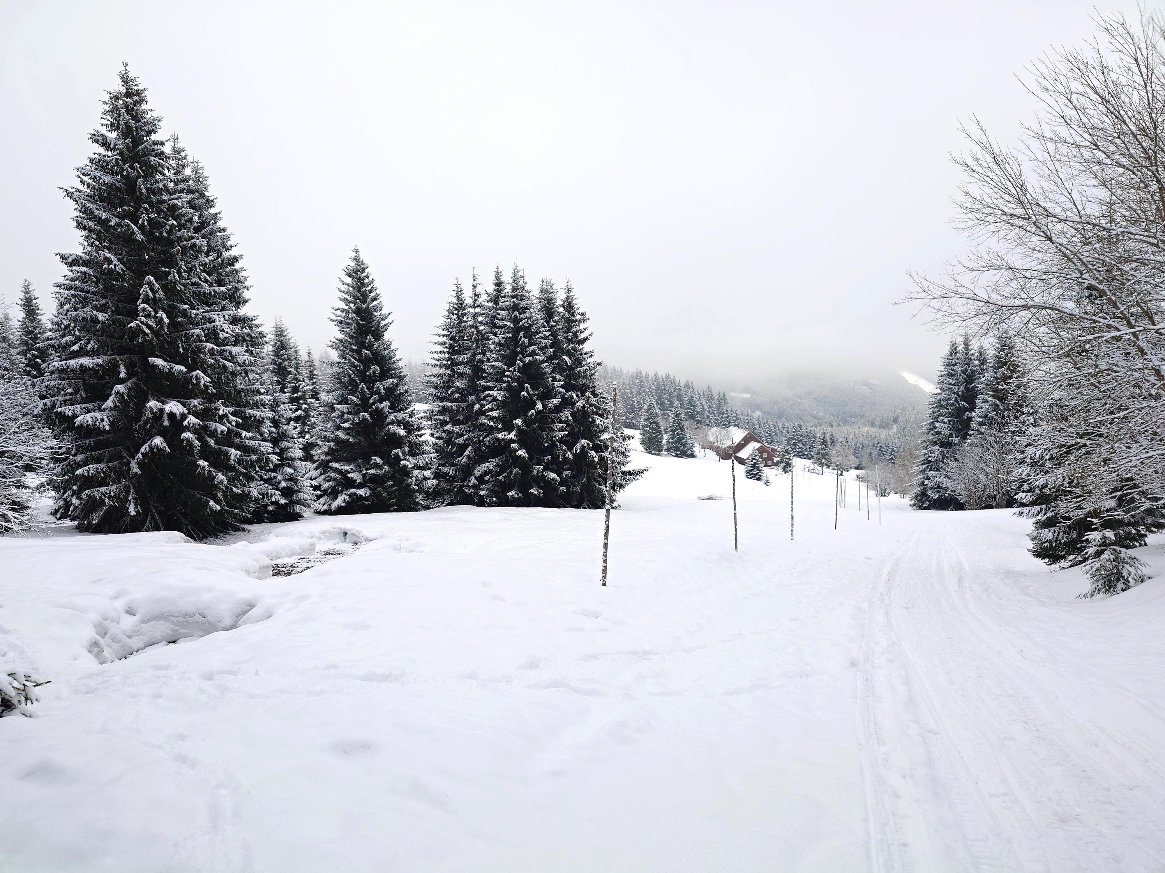 VEBROVY BOUDY foto 5