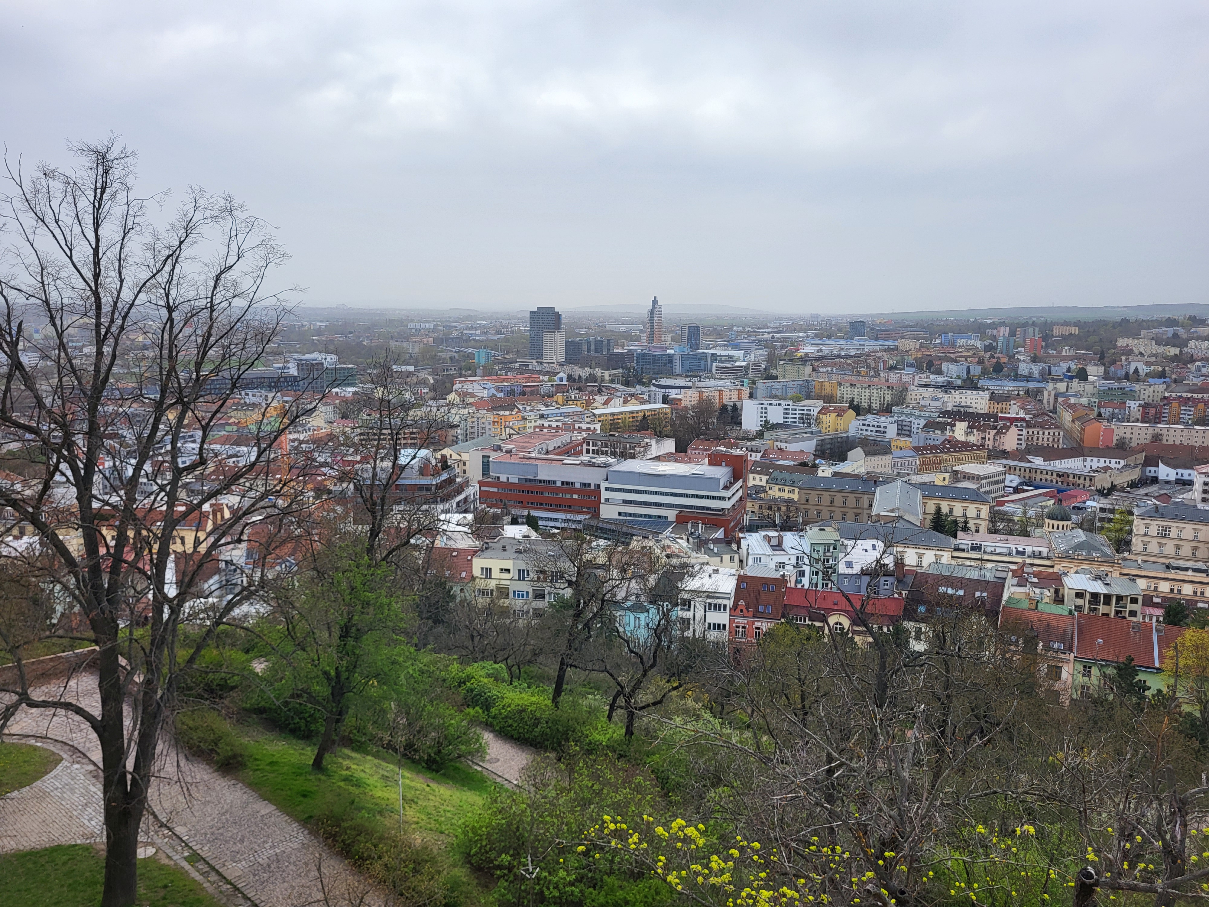 International Clinical Research Center foto 3