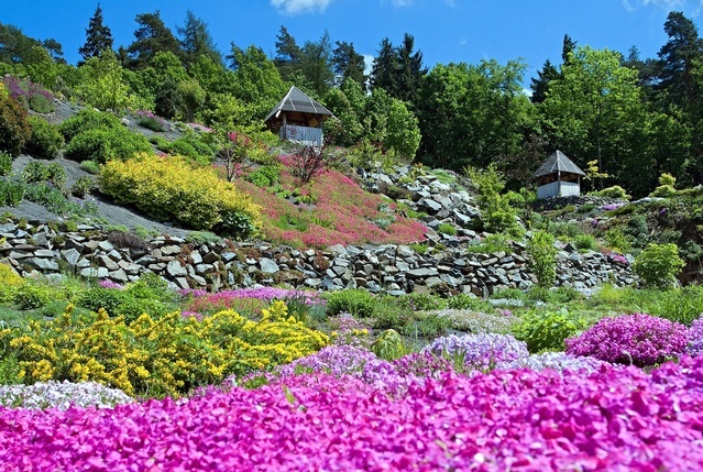 Ing. Radim Slabý - Arboretum Makču Pikču