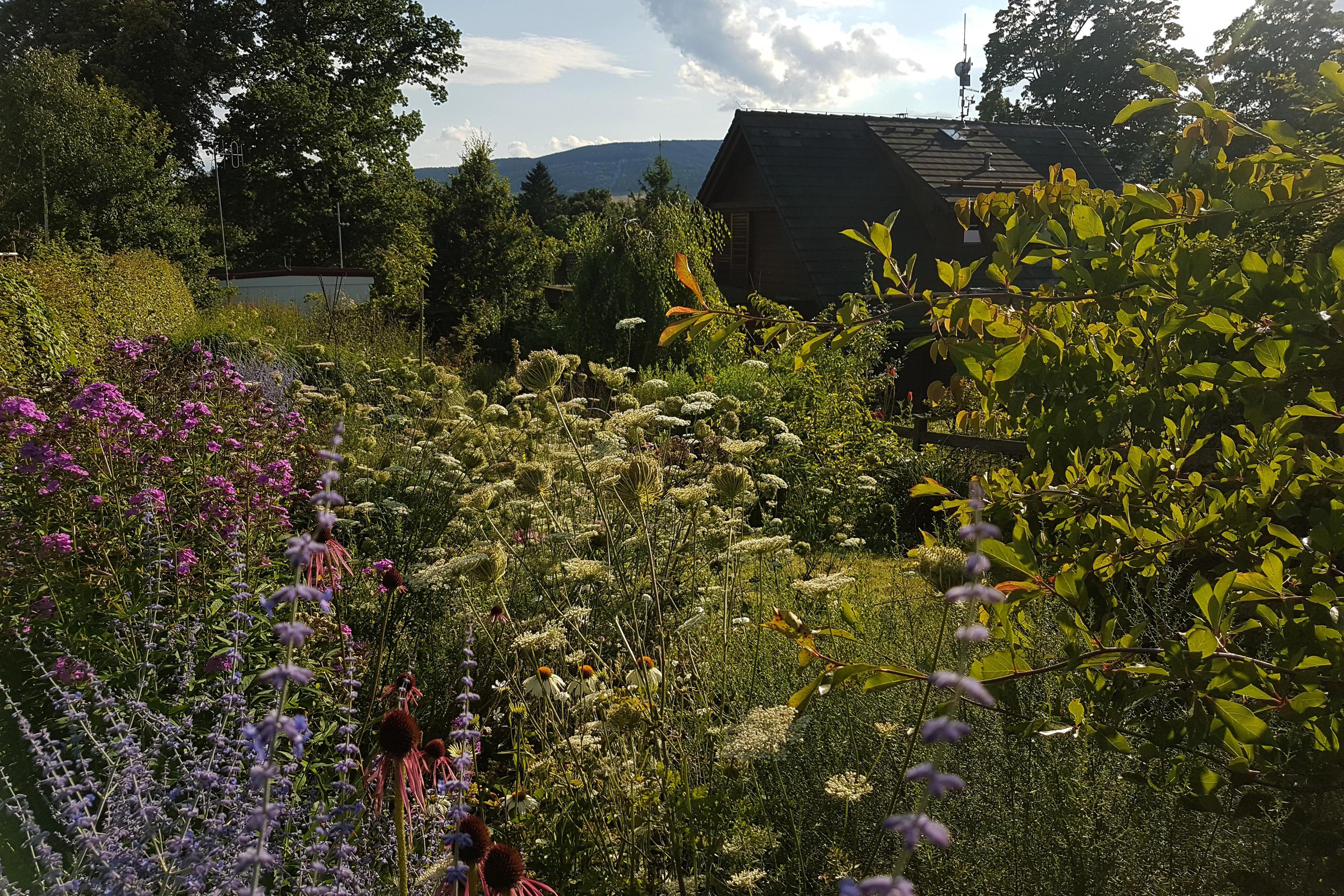 Prodejní zahrada Vesecké trvalky