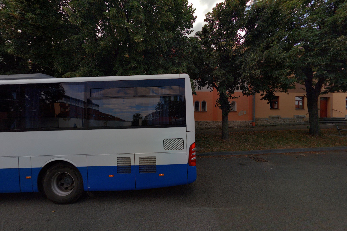 Webelo foto 2