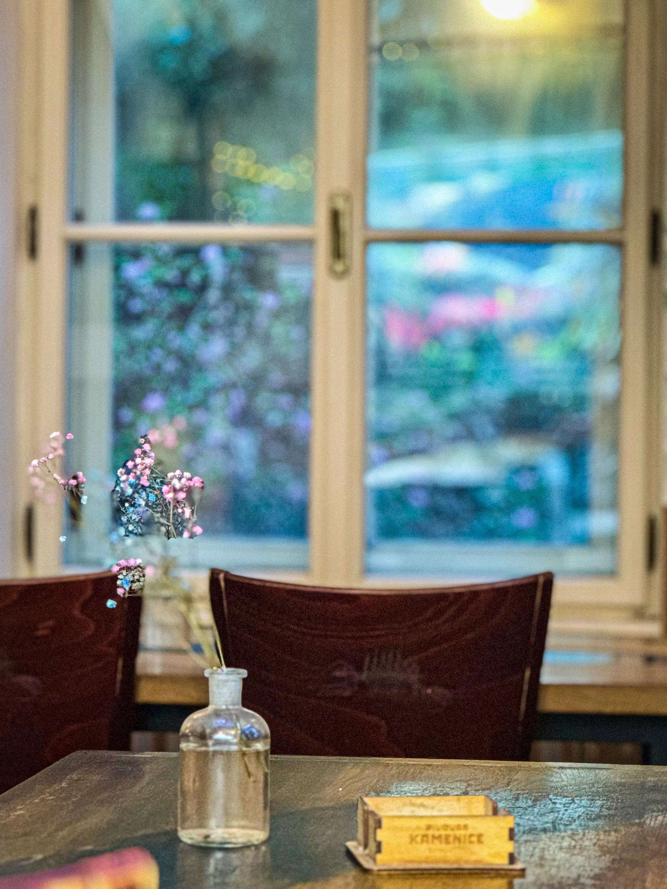 Studenský klub Mrtvá Ryba foto 5