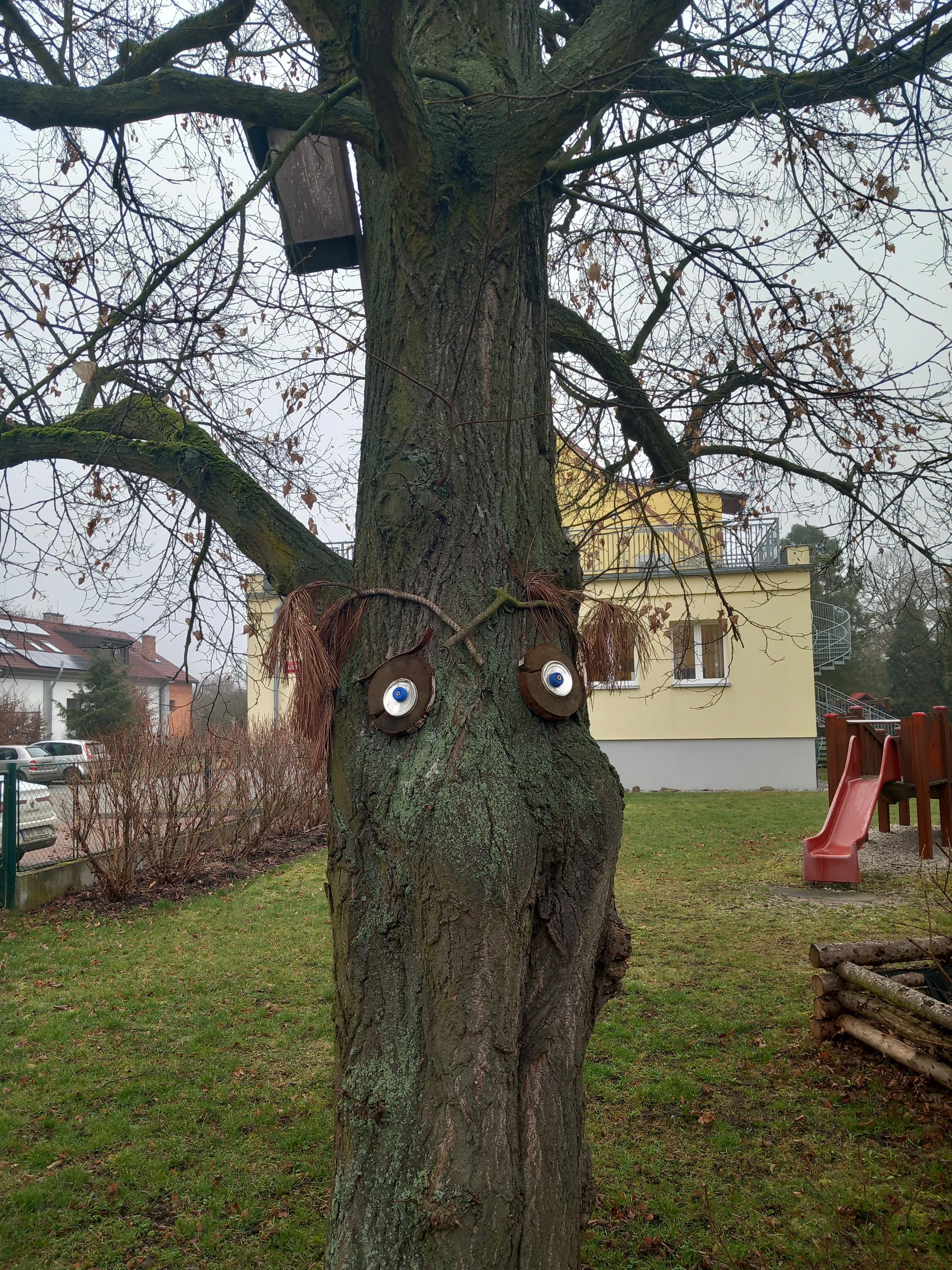 MŠ Chrást foto 3