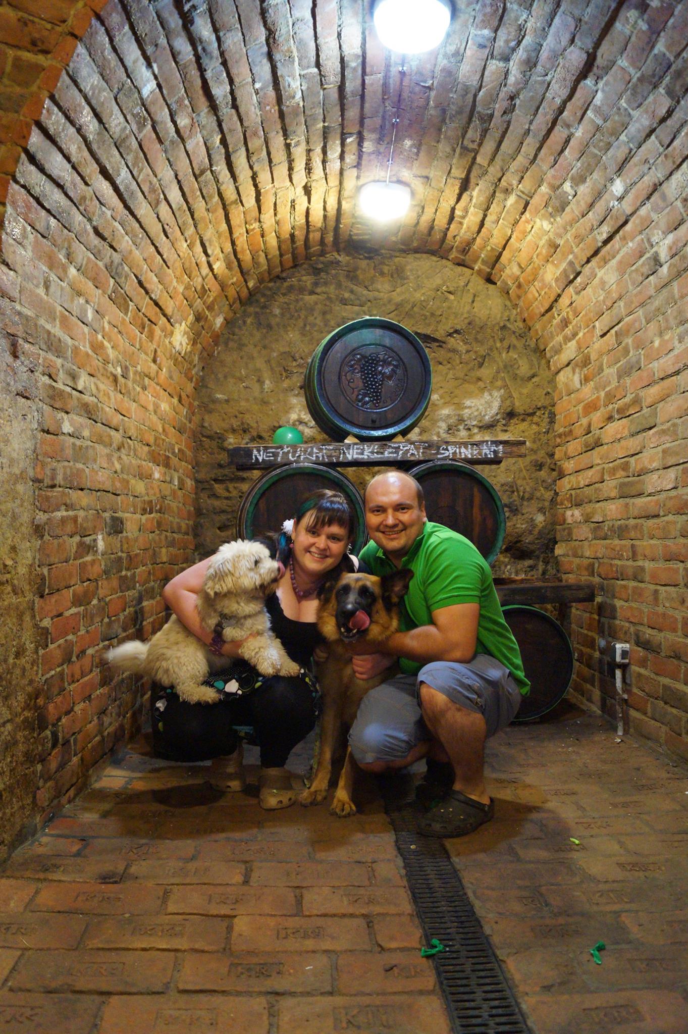 Vinný sklep U dvou zvířat foto 4