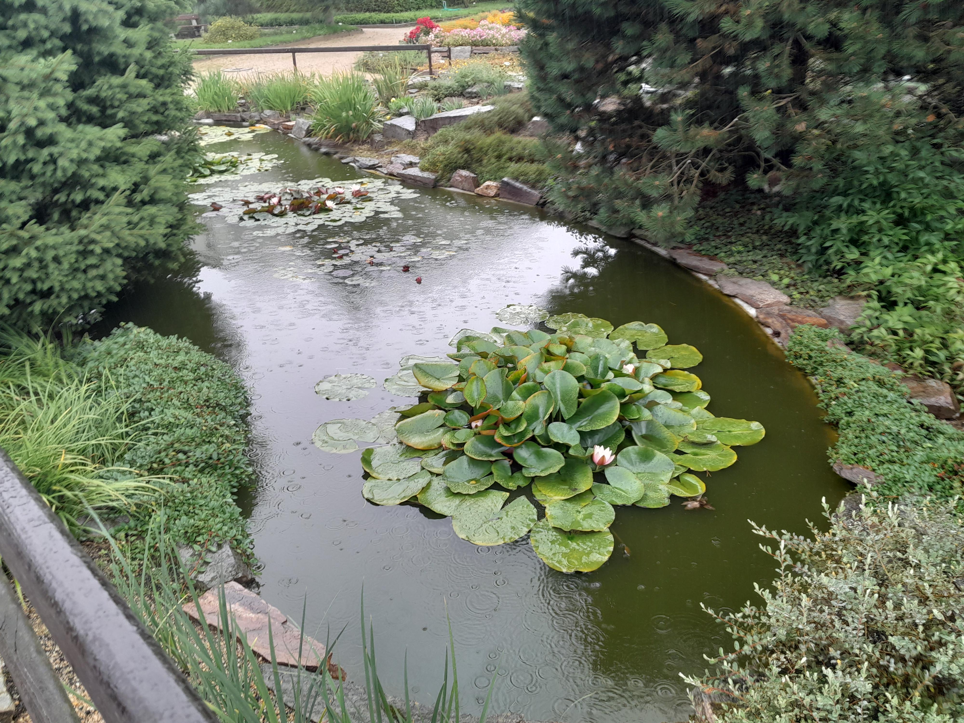 Botanická zahrada Liberec foto 5