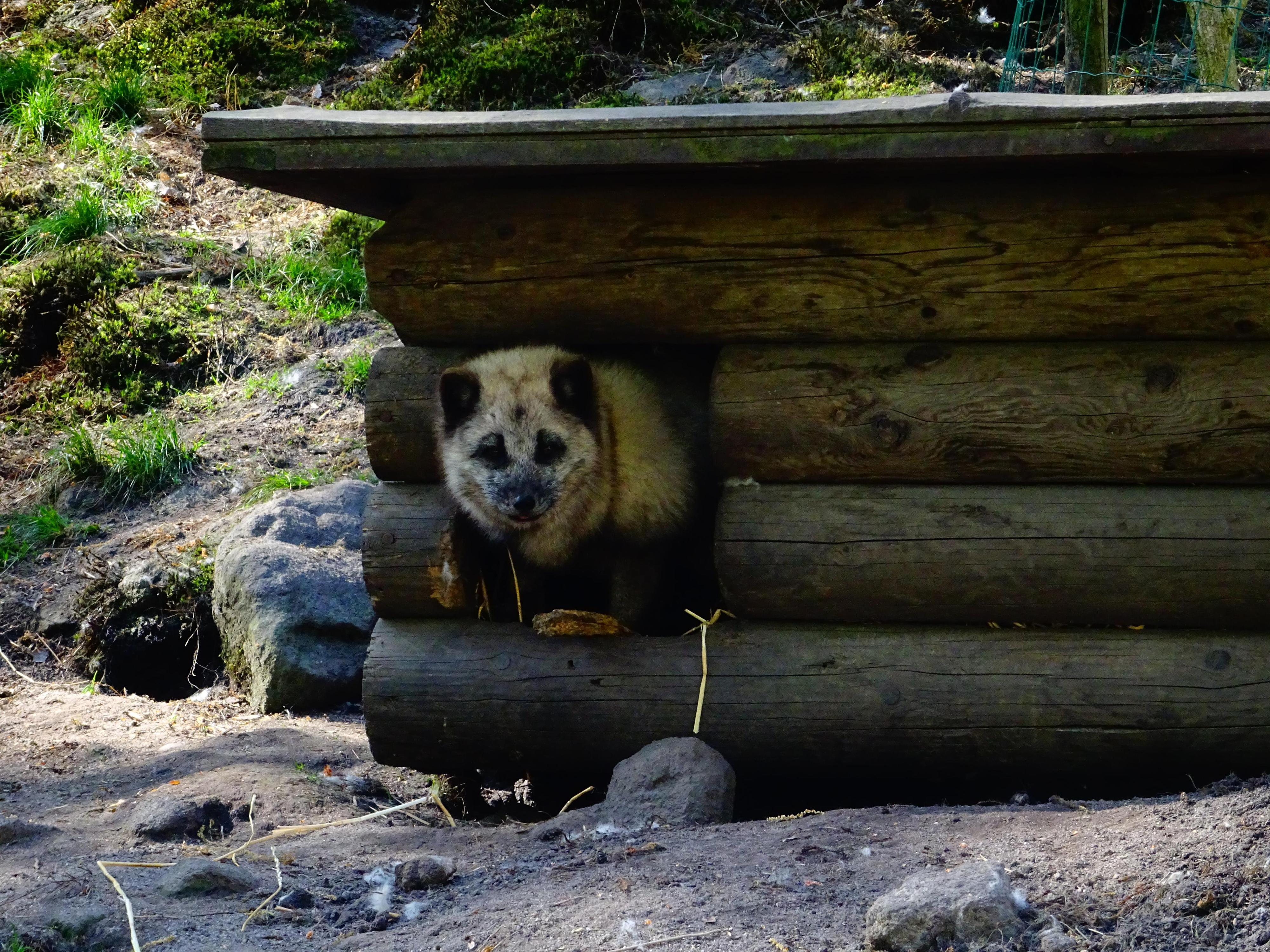 Zoo Děčín foto 6