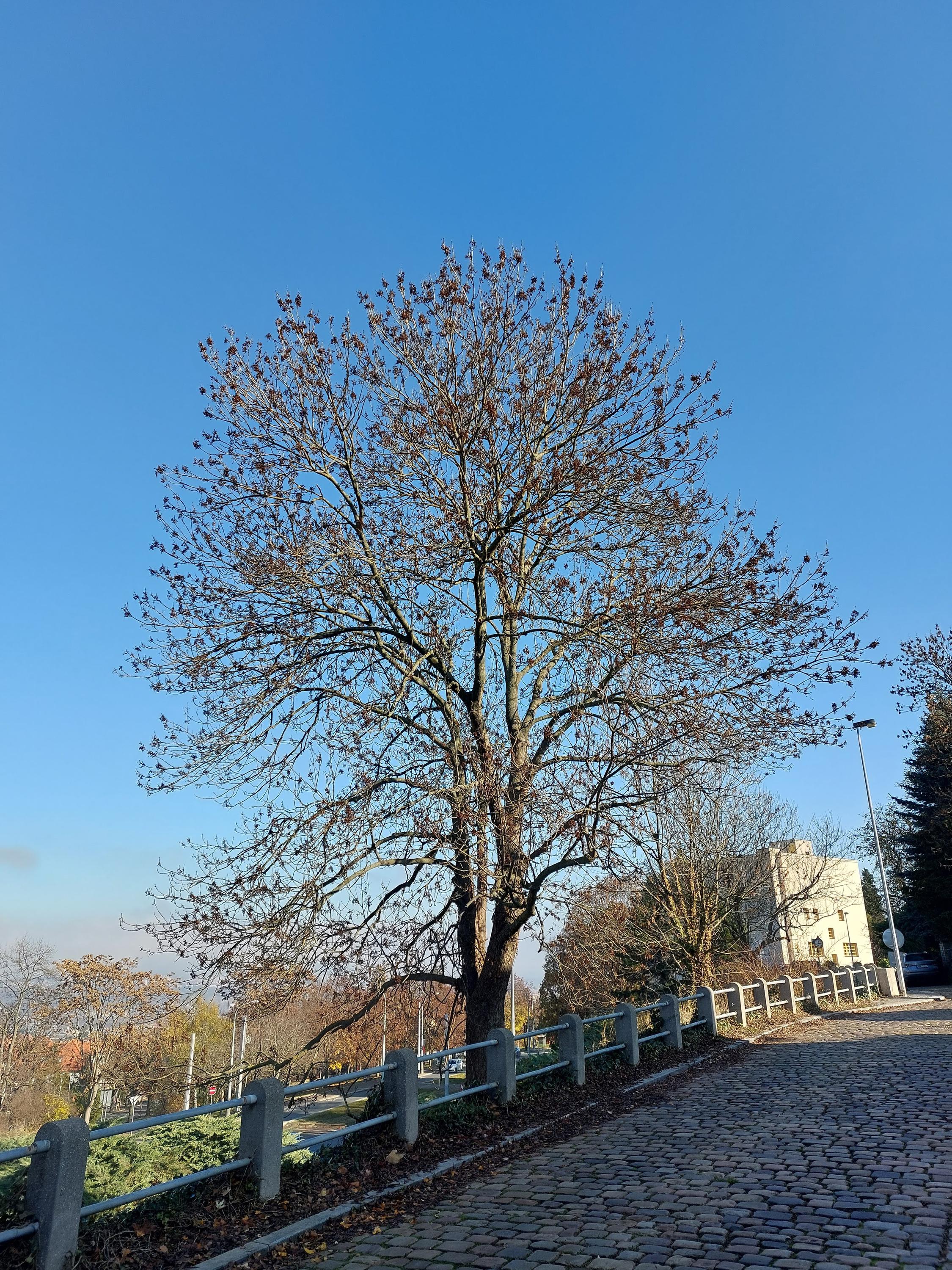 Studijní a dokumentační centrum Norbertov - Muzeum města Prahy