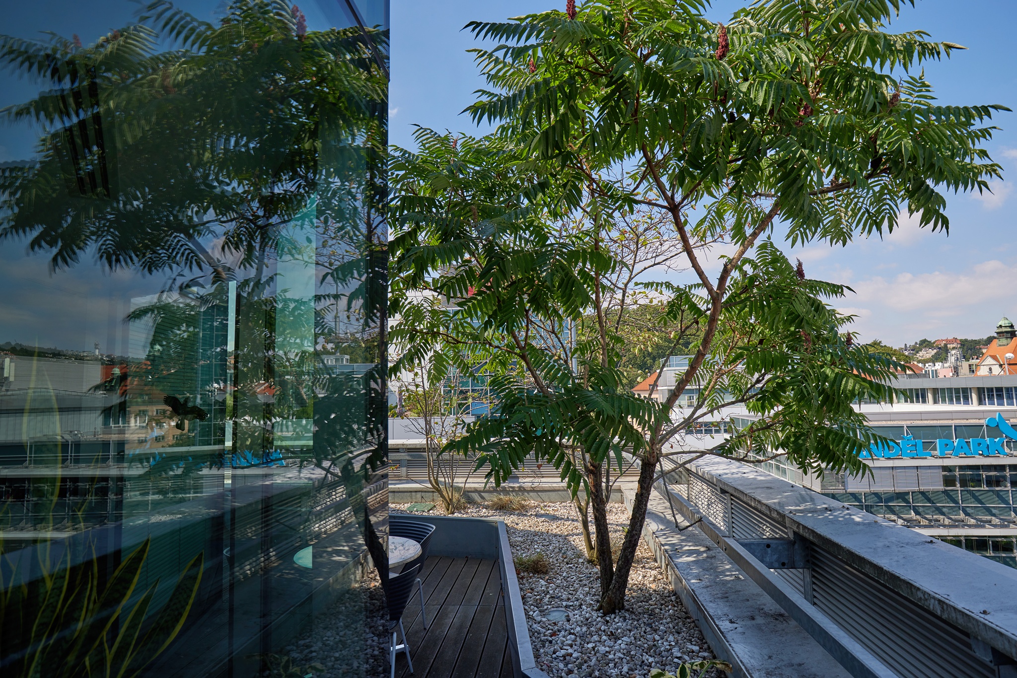 IDEA office building foto 4