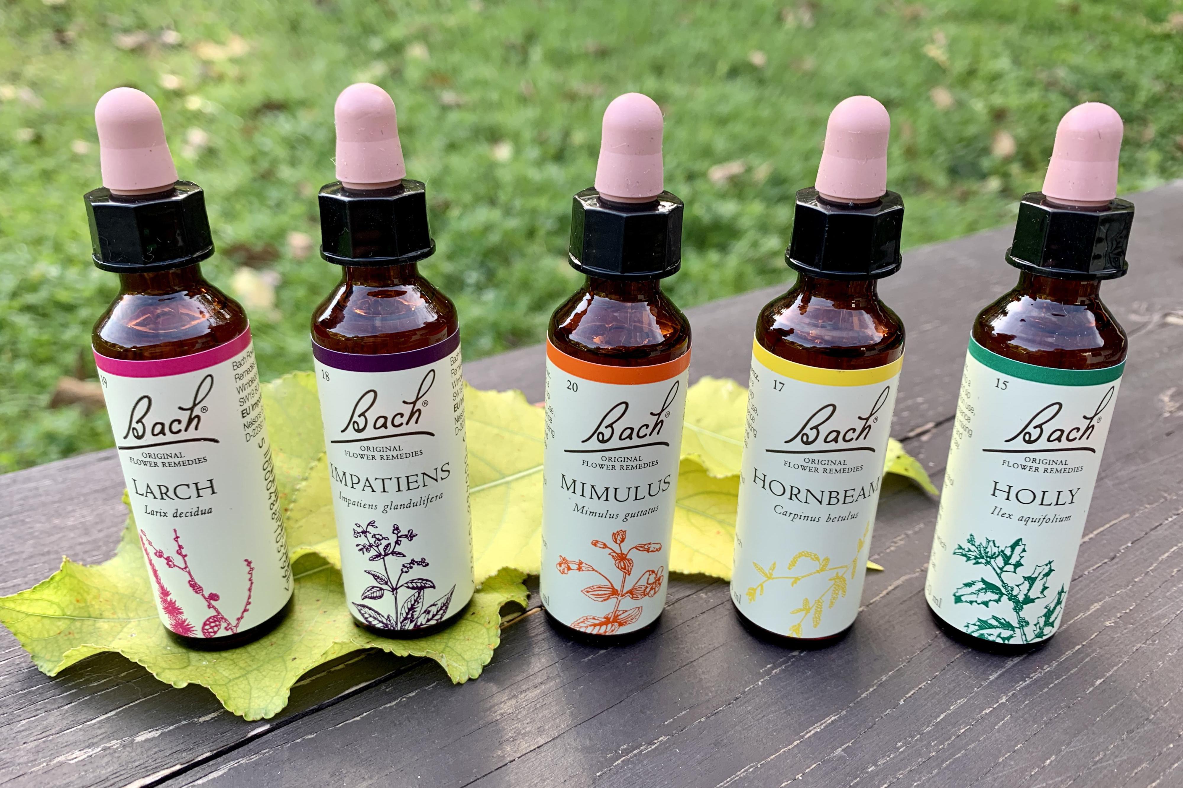 Bachova terapie Kristýna Frelichová