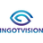 logo INGOTVISION