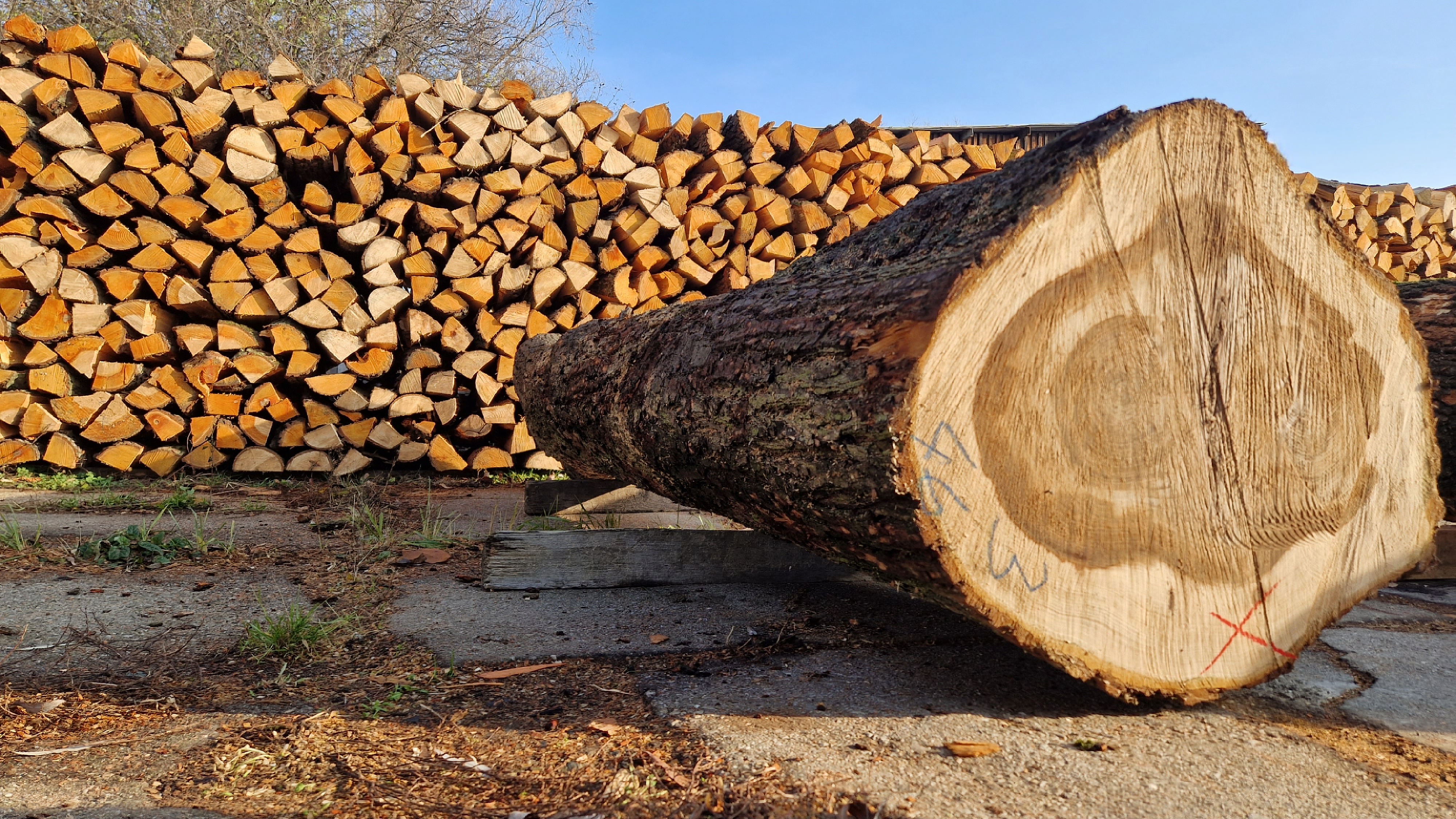 Palivo Sedláček, s.r.o.