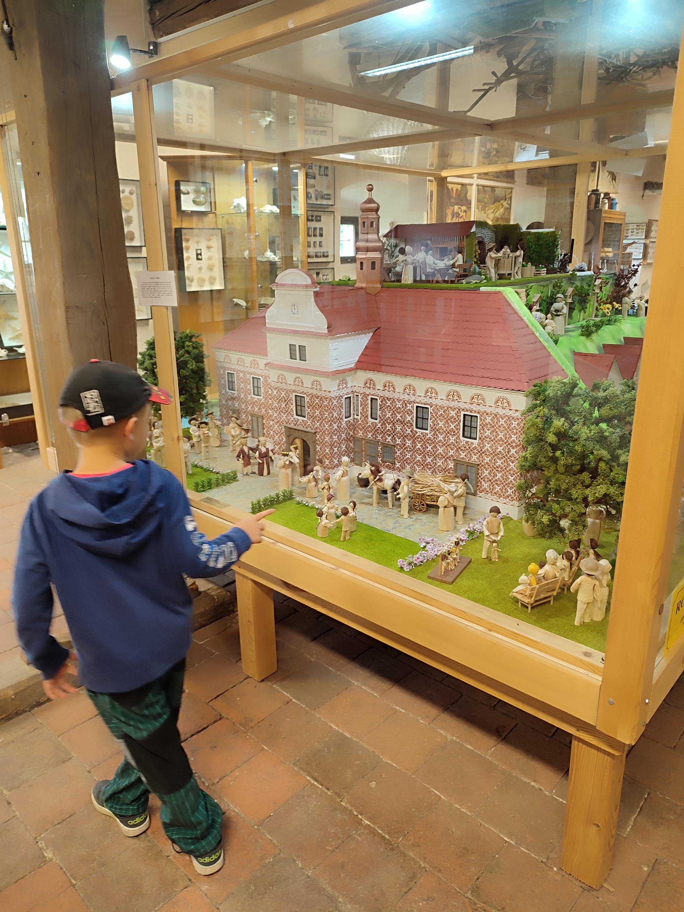 Muzeum přírodovědy a venkova foto 6