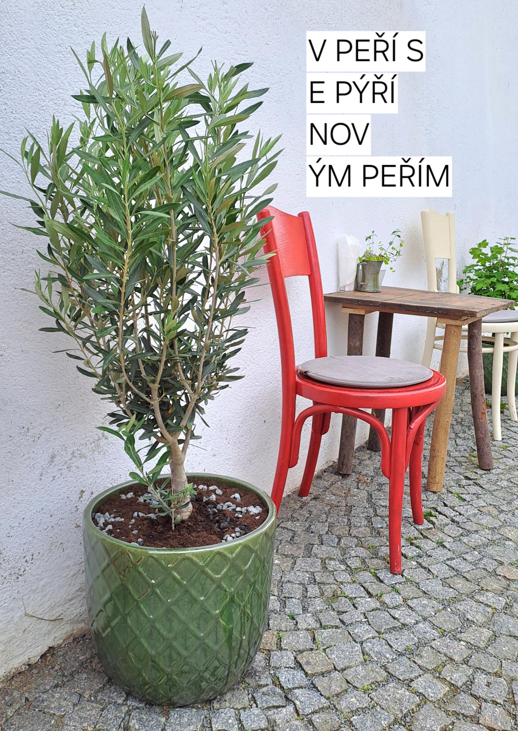 Café bar v Kozím peří foto 2