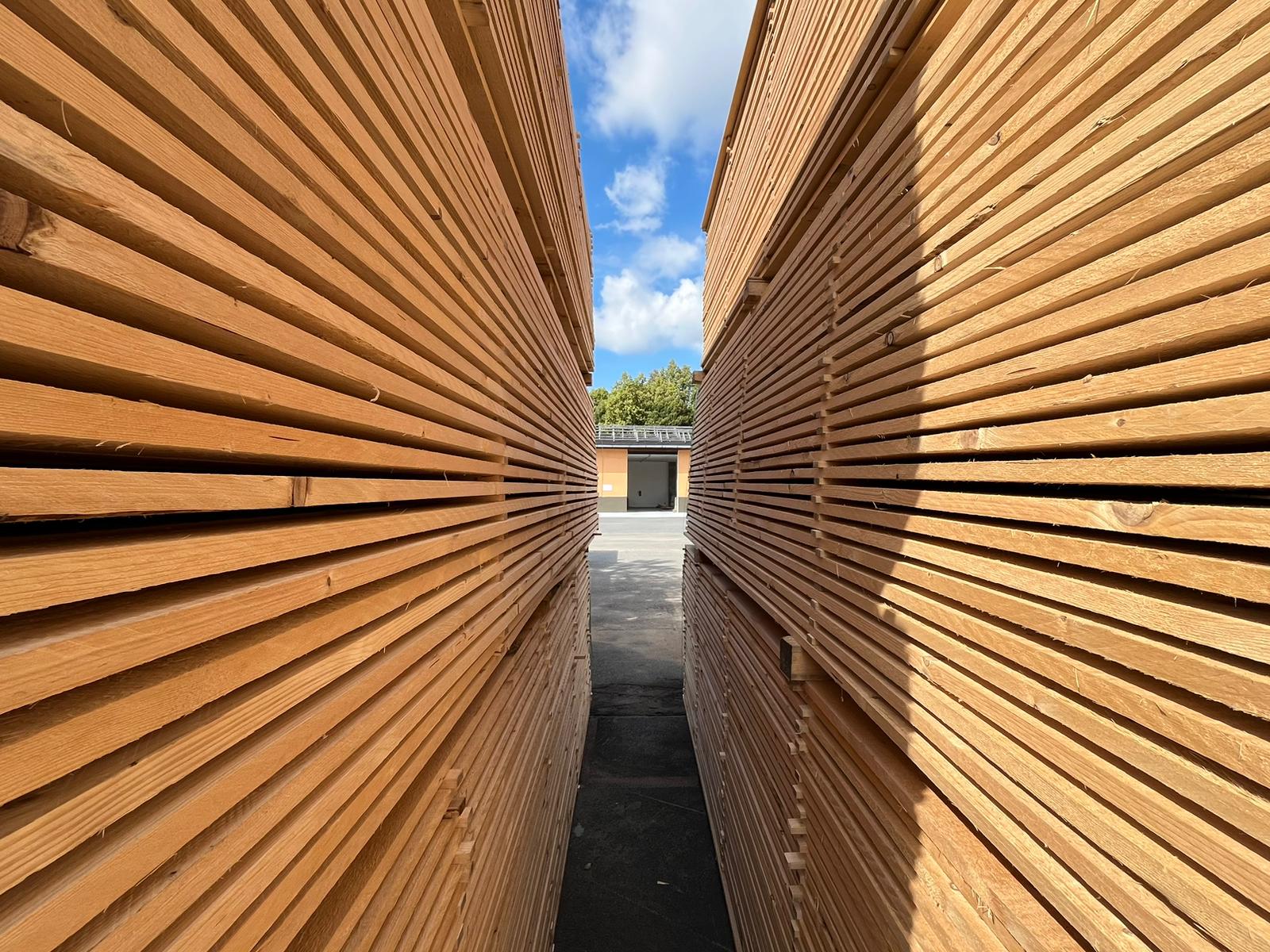 Dřevocentrum CZ foto 3