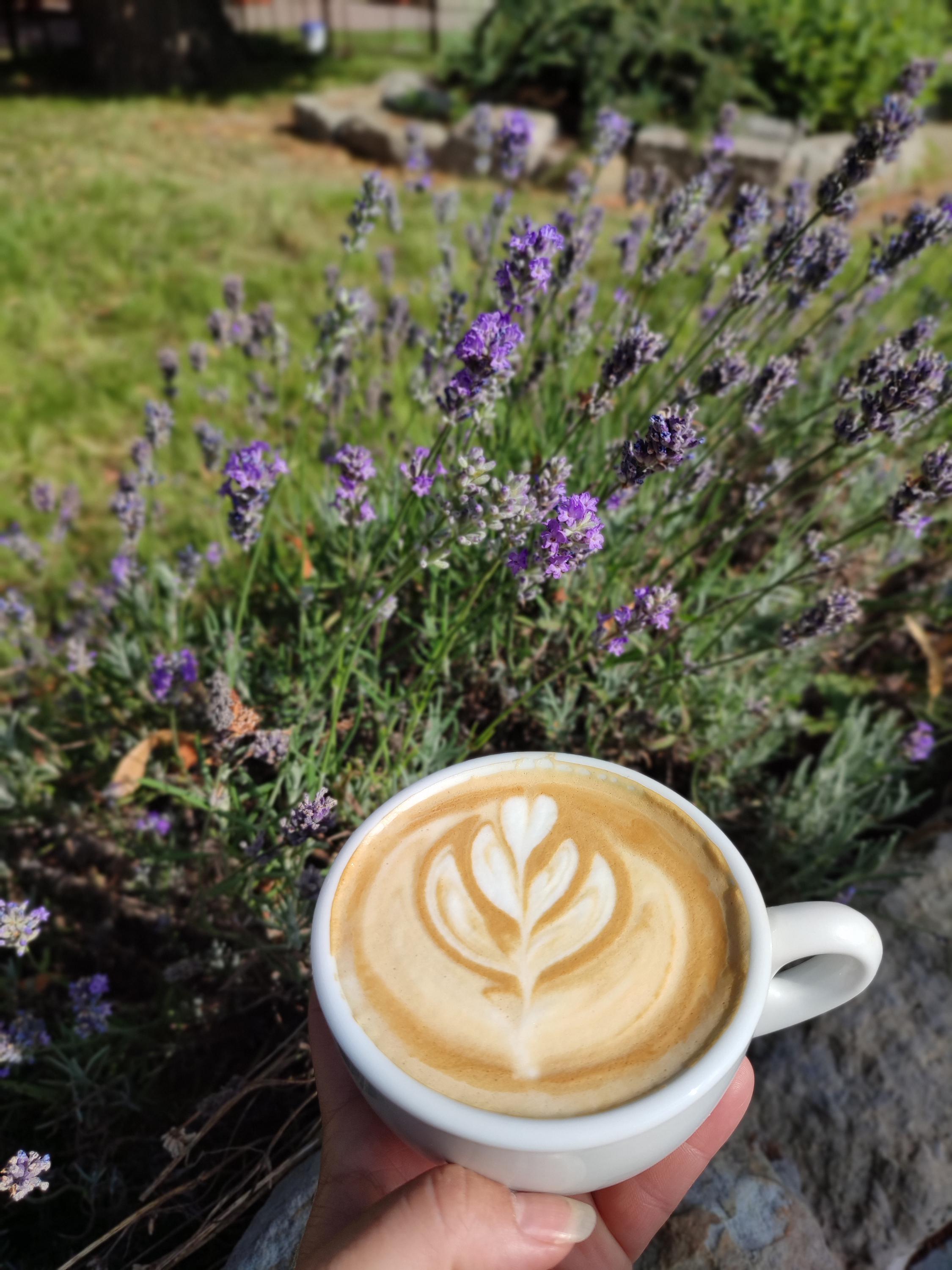 U Štaflika -  svatby foto 6