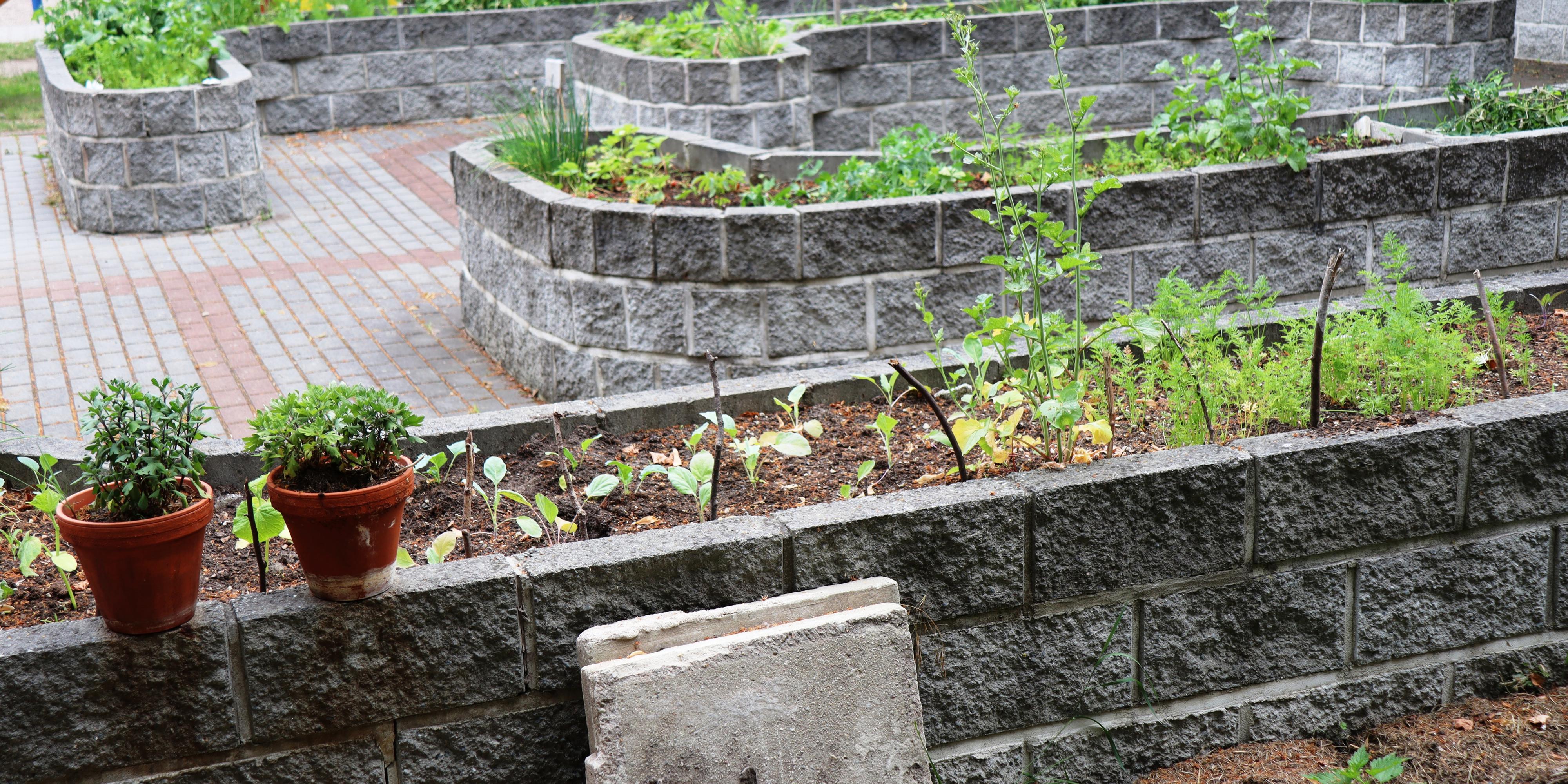 Základní škola a Praktická škola SVÍTÁNÍ foto 5