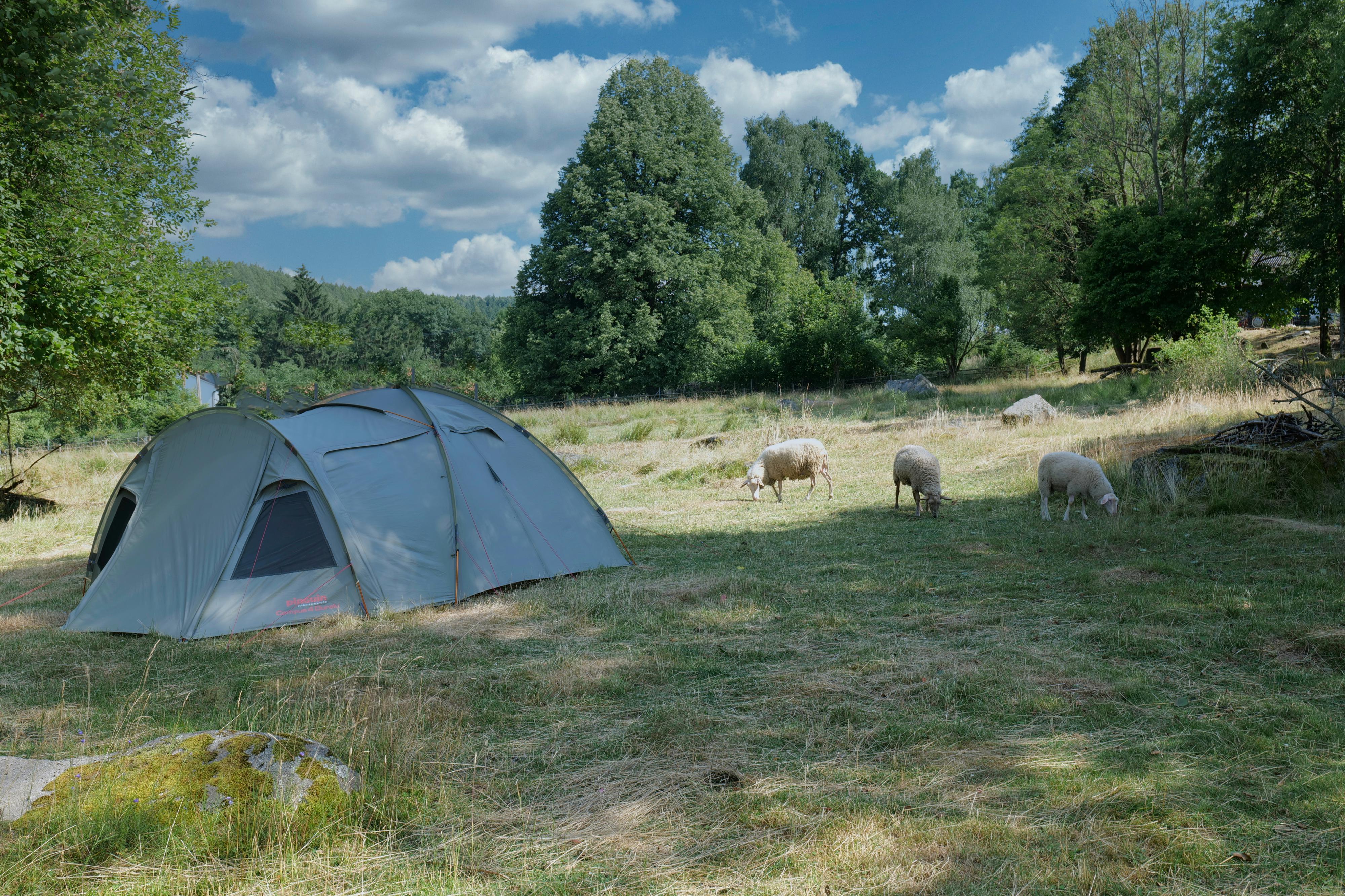Myslivna Veletín - Drábův dvůr foto 3