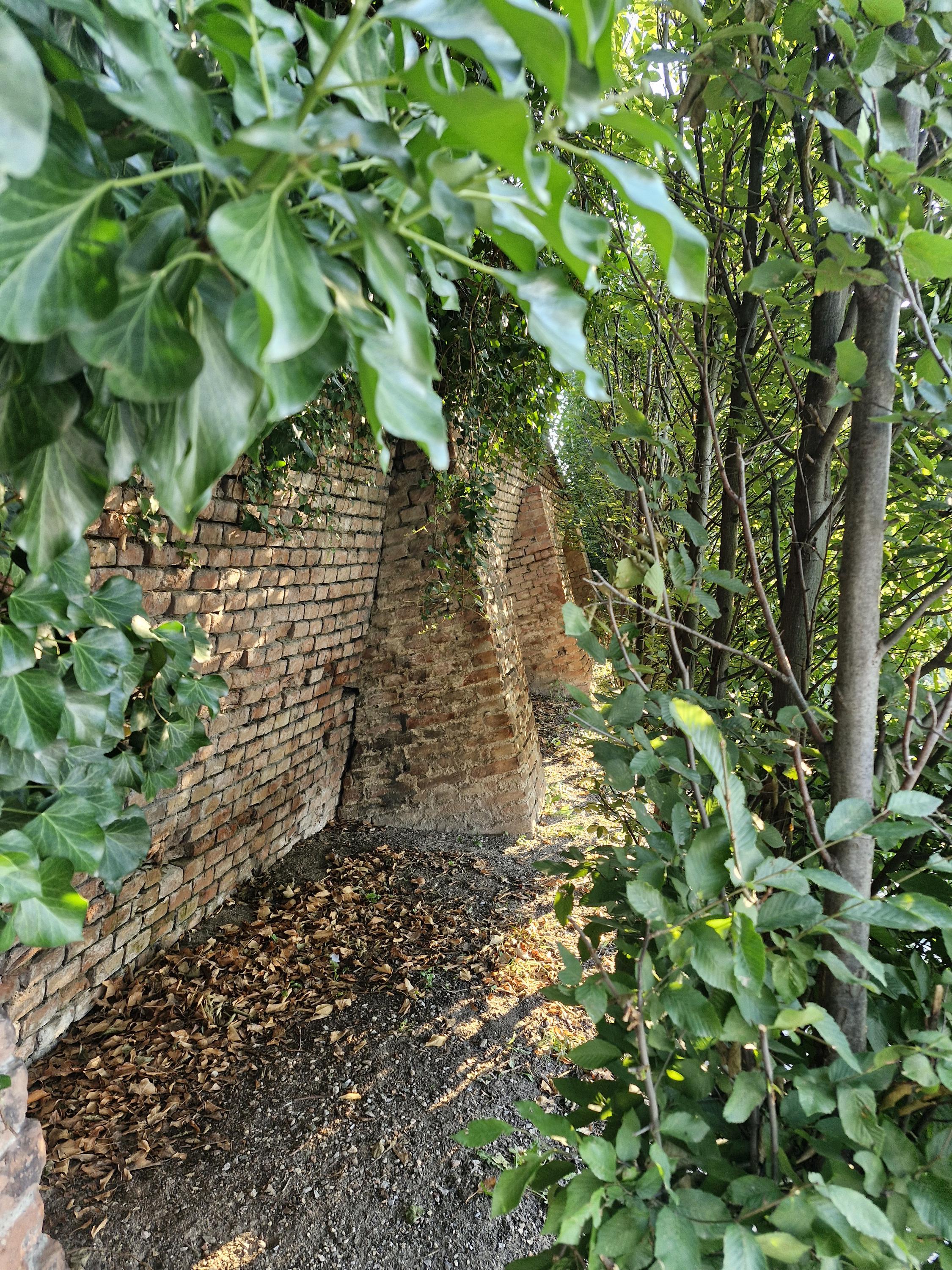 Odborná knihovna Regionálního muzea v Mikulově foto 6