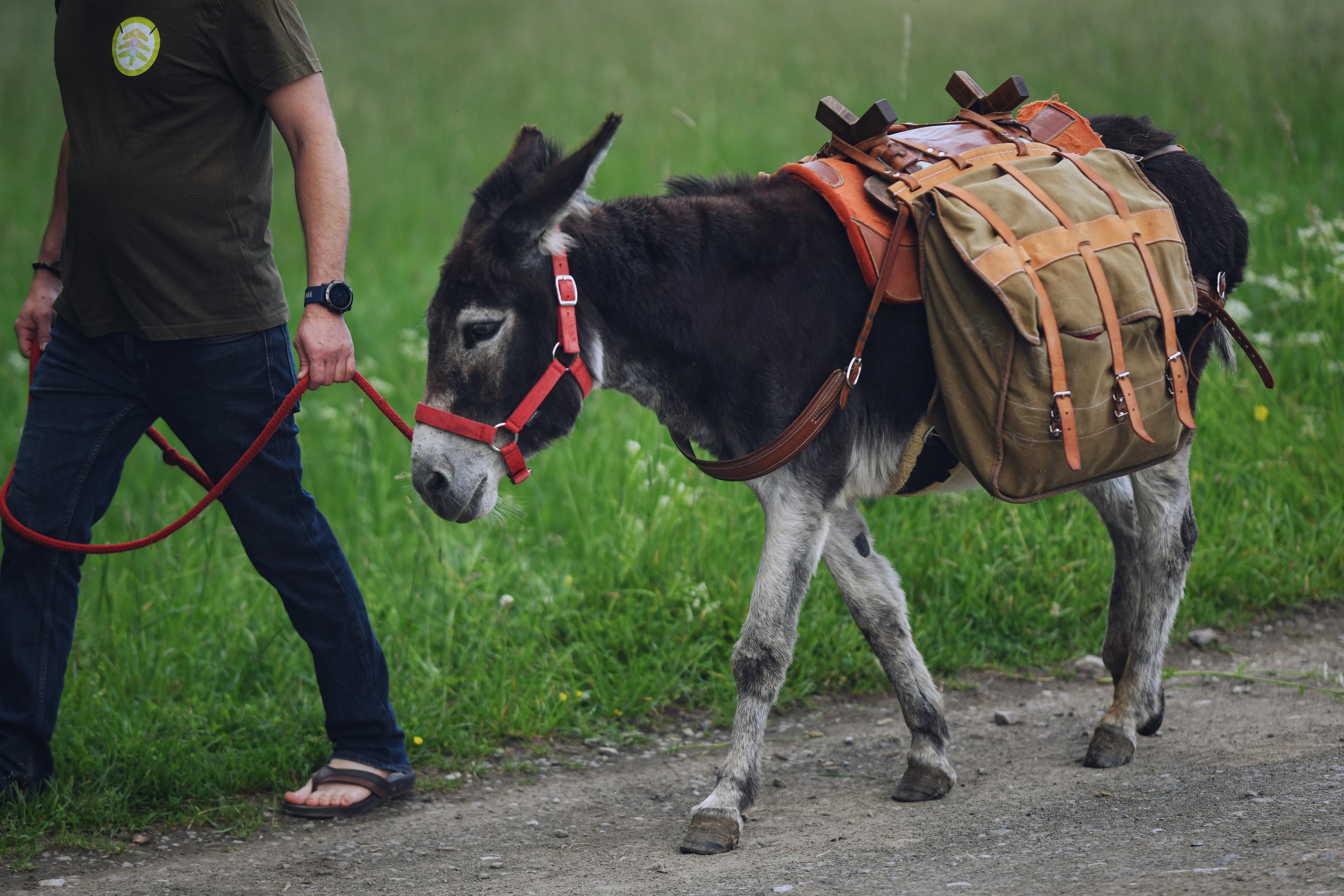Oslí stezka Svárov foto 4