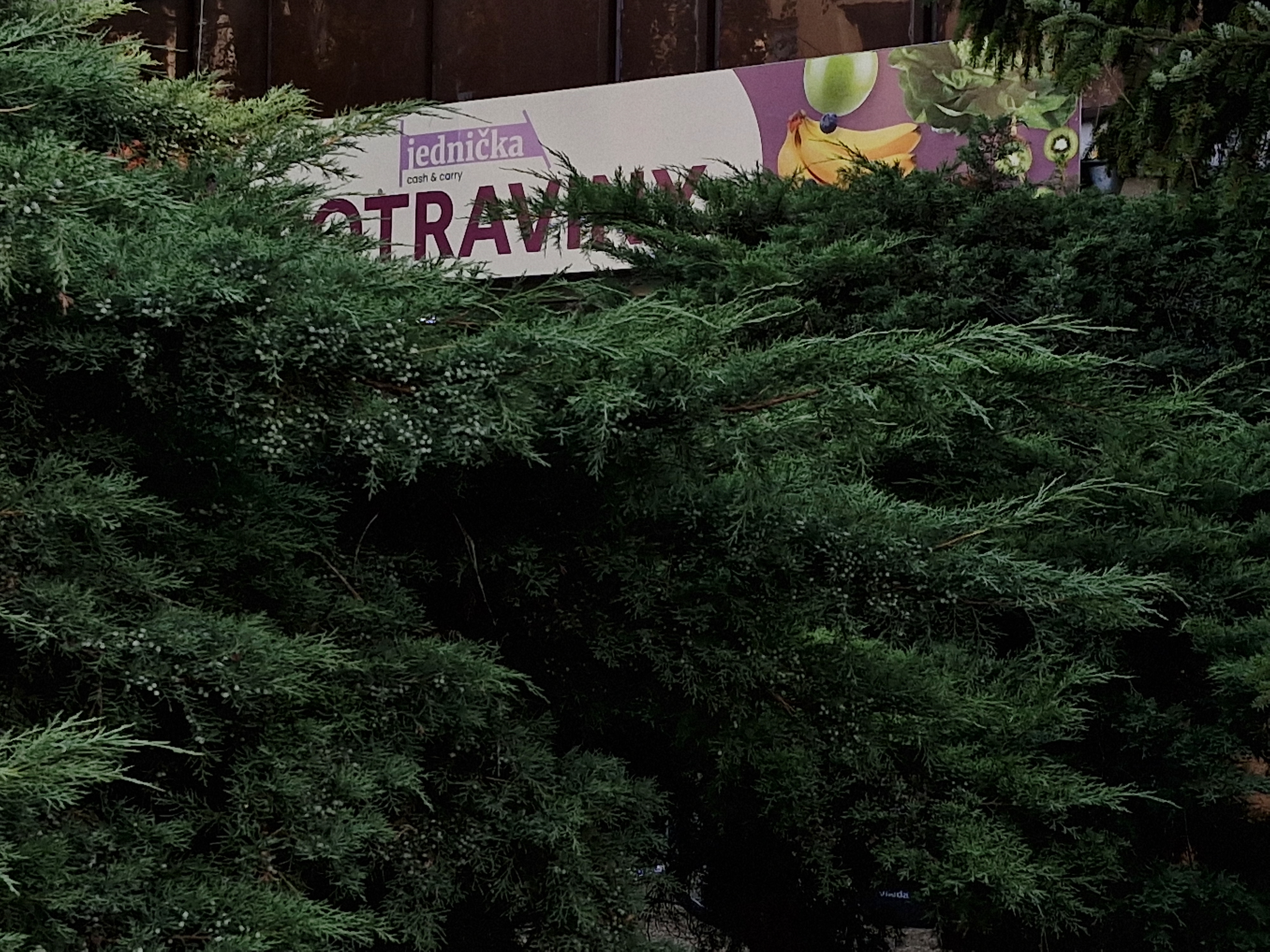 Cash @ Carry Jednička foto 2