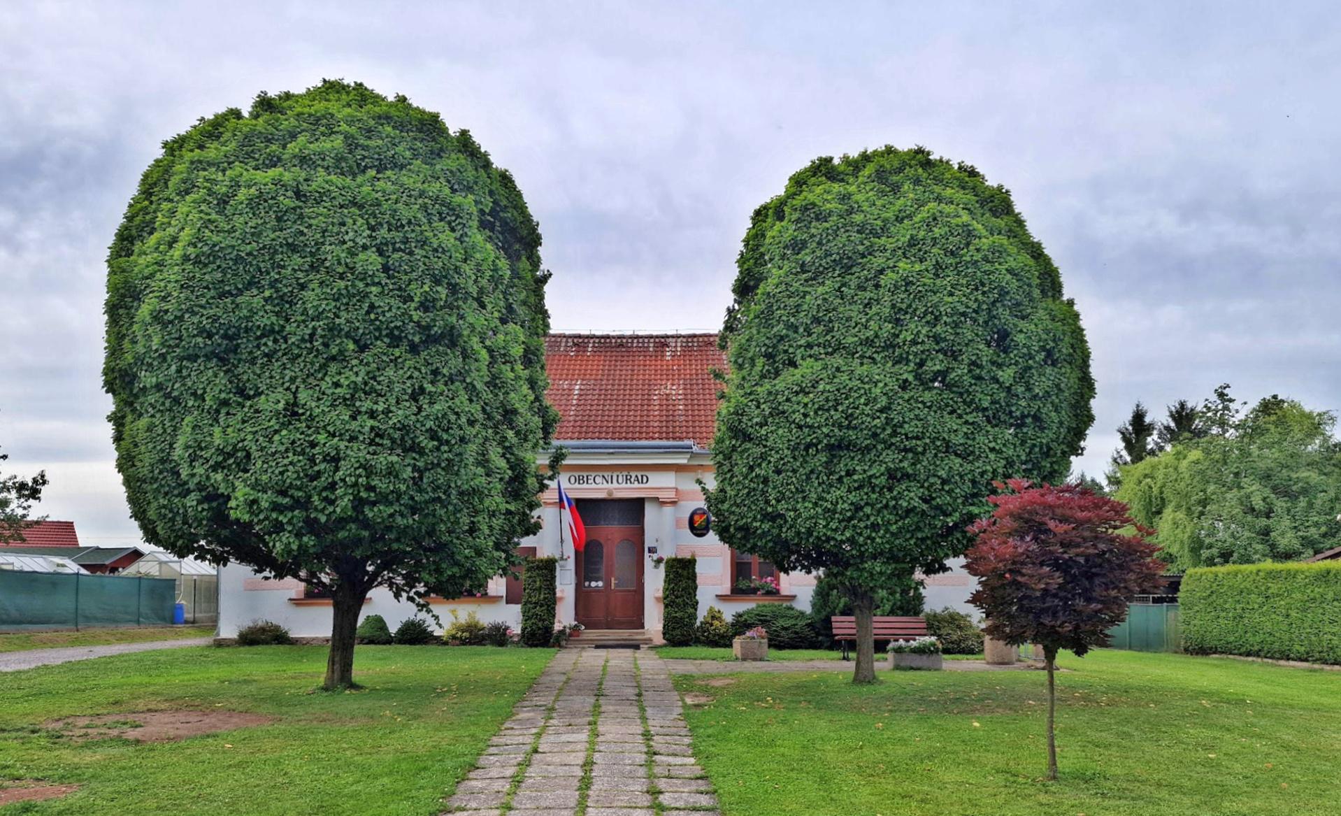 Místní knihovna Mirkovice