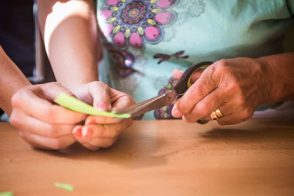 Senevida Svoboda nad Úpou foto 2