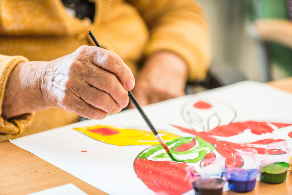 Senevida Svoboda nad Úpou foto 4