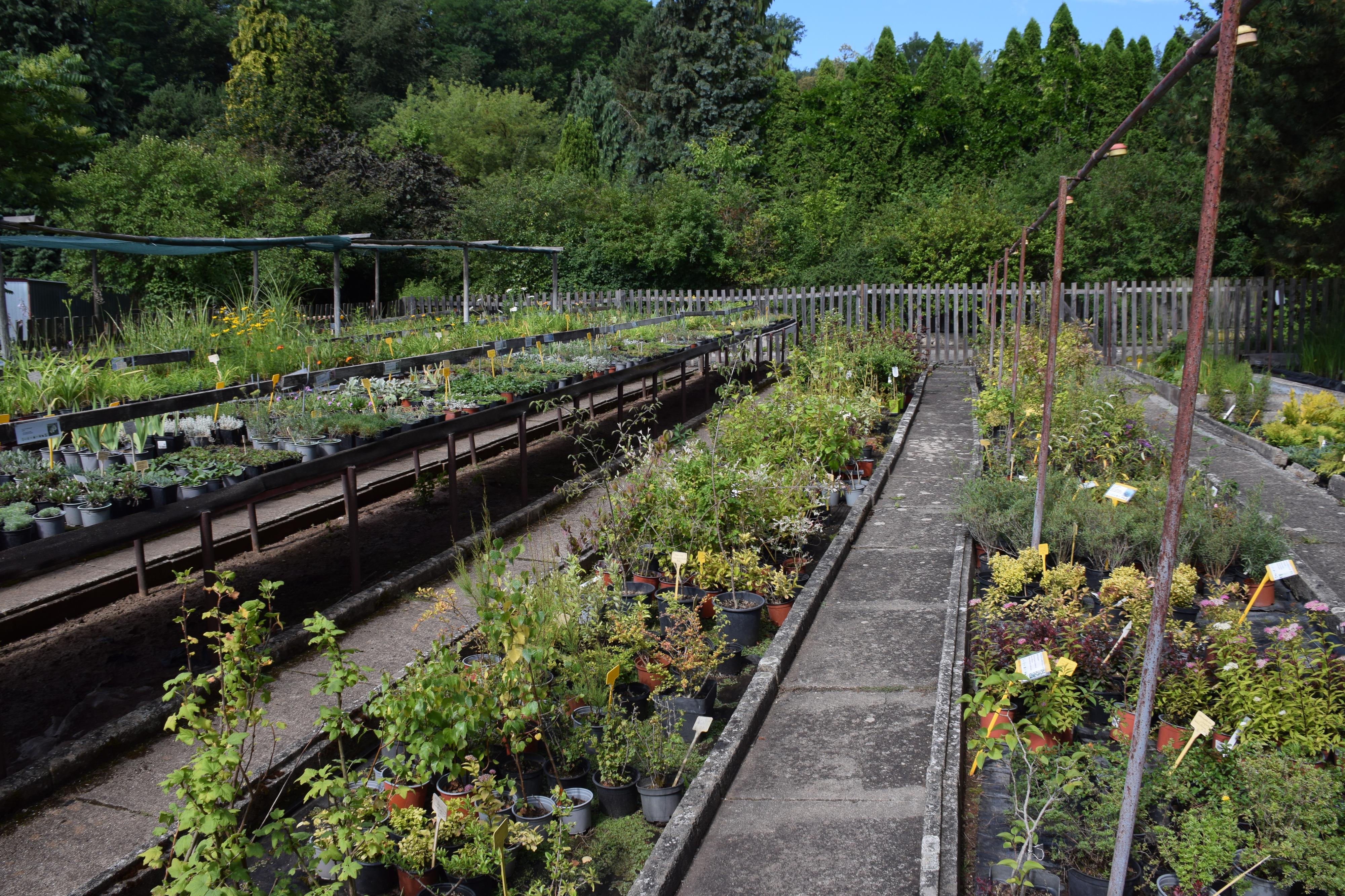 Zahradnictví SAK František Chlup foto 5
