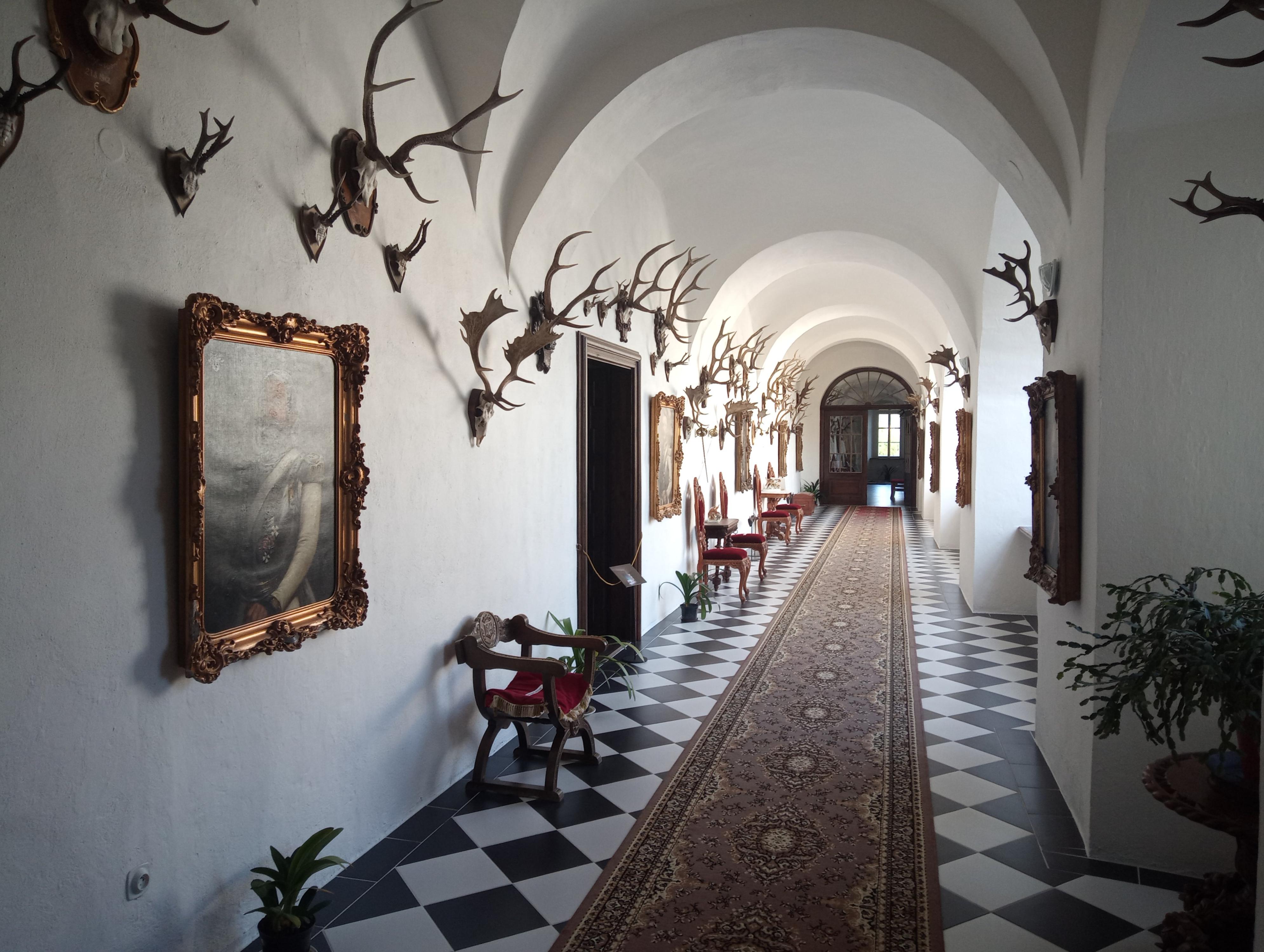 Zámek Slezské Rudoltice foto 3