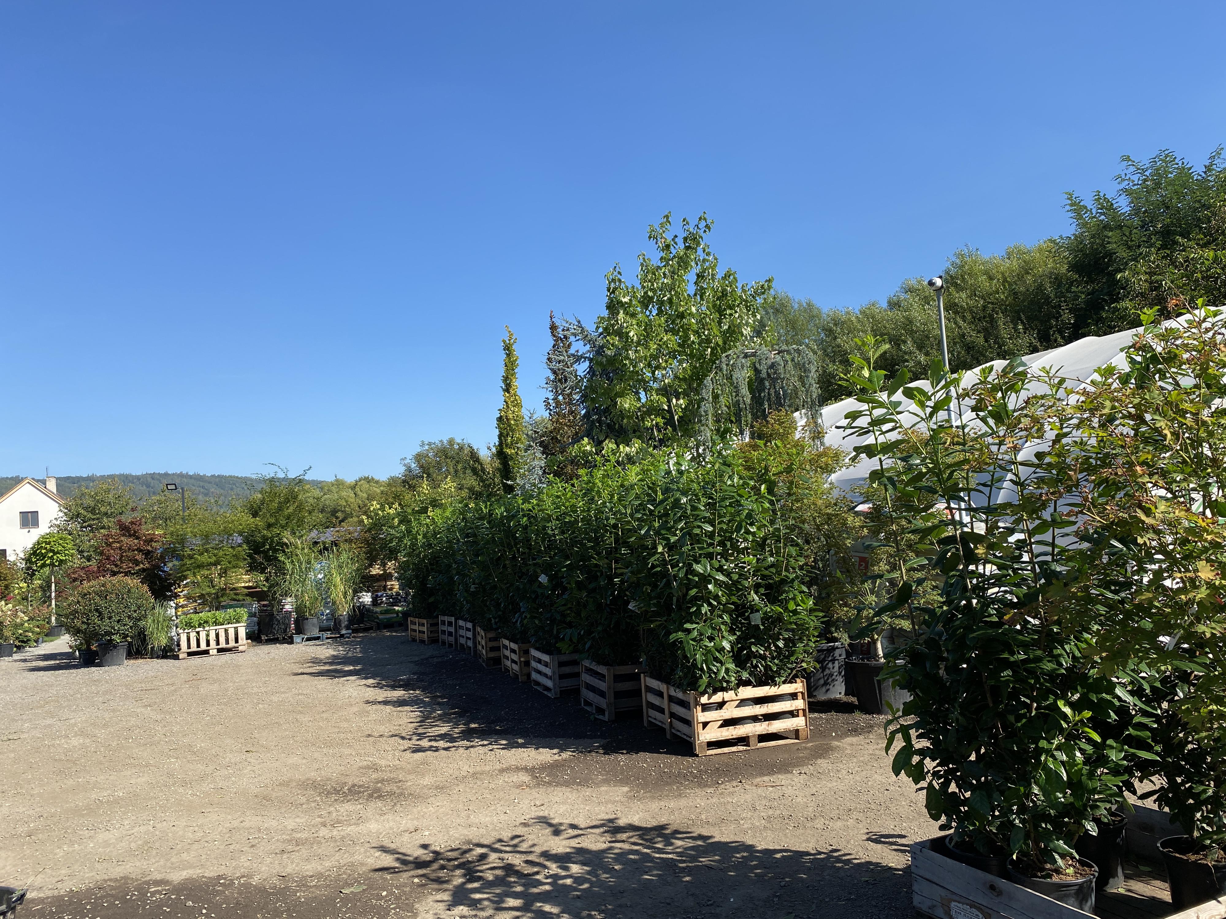 Plantservis CZ s.r.o. foto 3