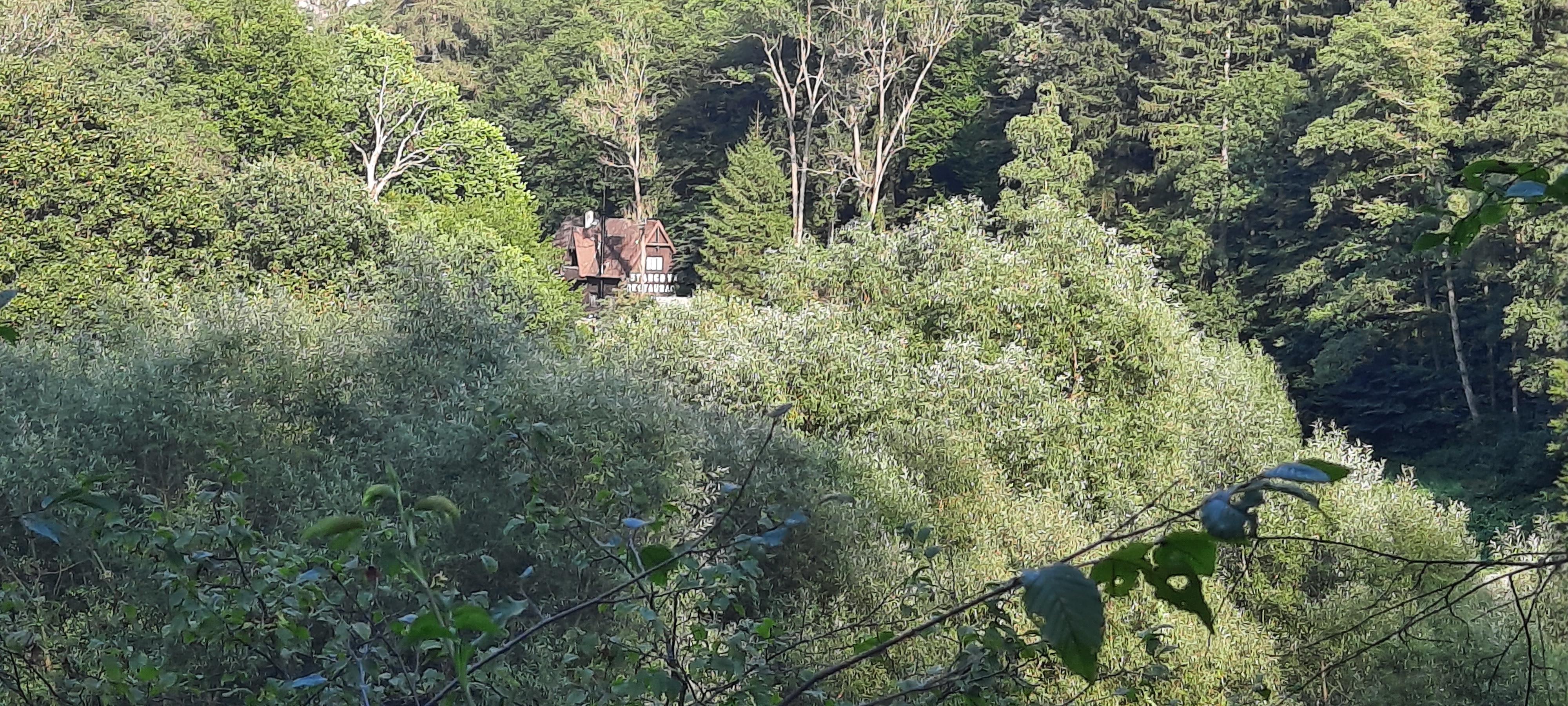 Klub Starcovy lesní restaurace foto 6