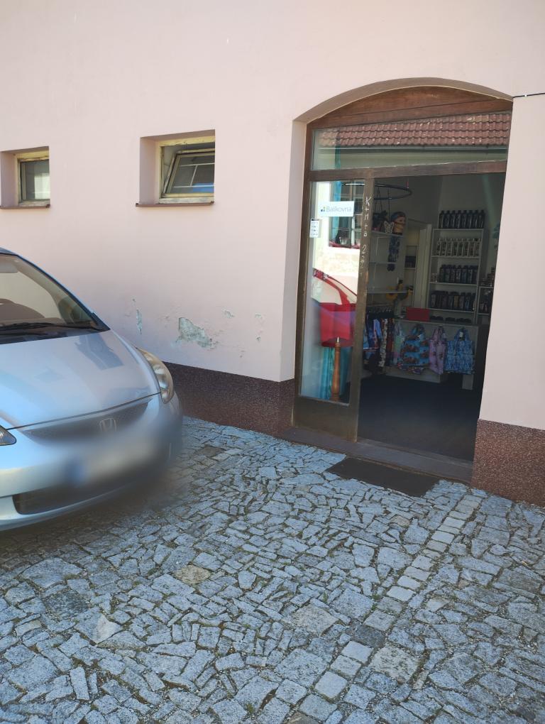 Jana Šubová Zazu foto 2