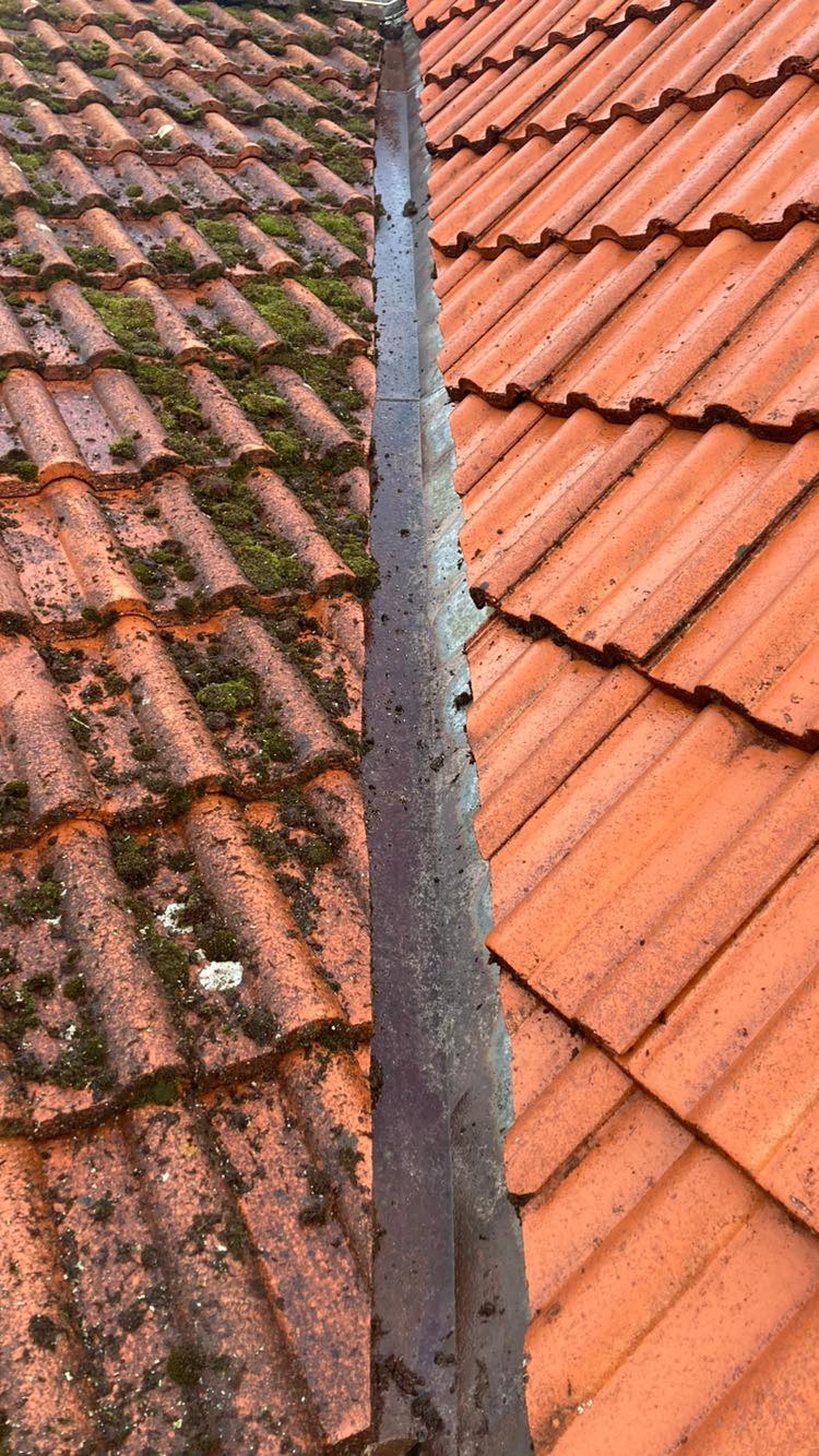 Aleš Kostohryz - čištění střech a povrchů foto 4