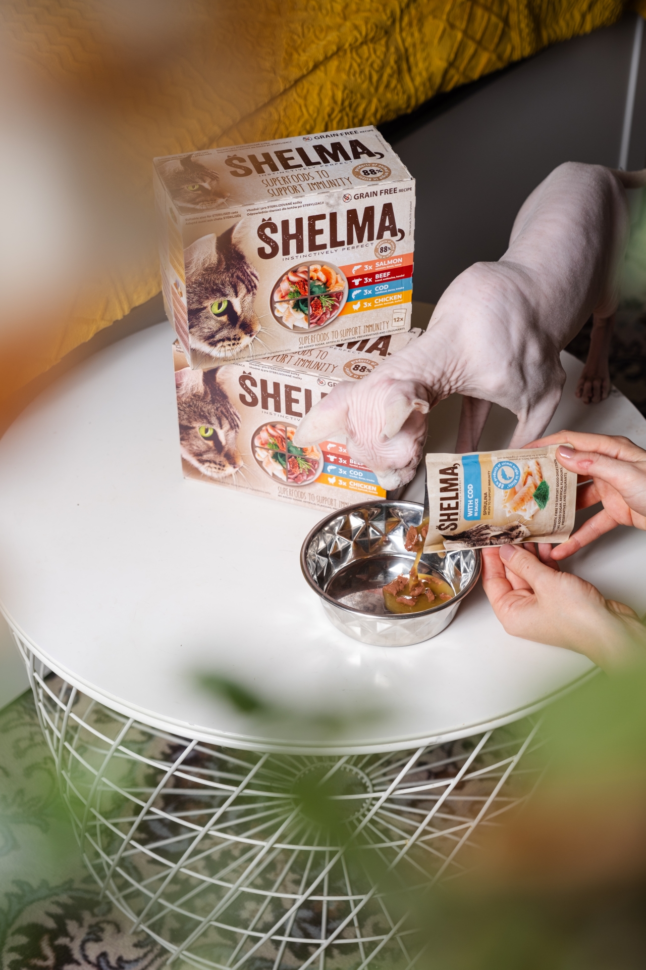 Partner in Pet Food CZ foto 4