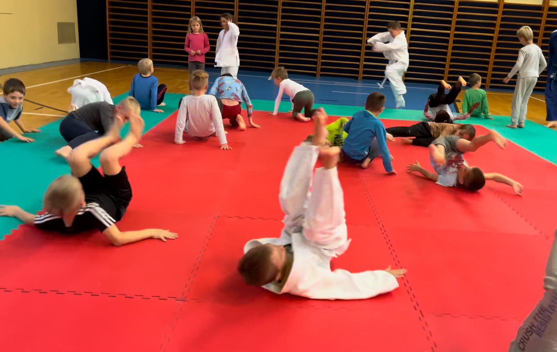 Judo Best Motion foto 2