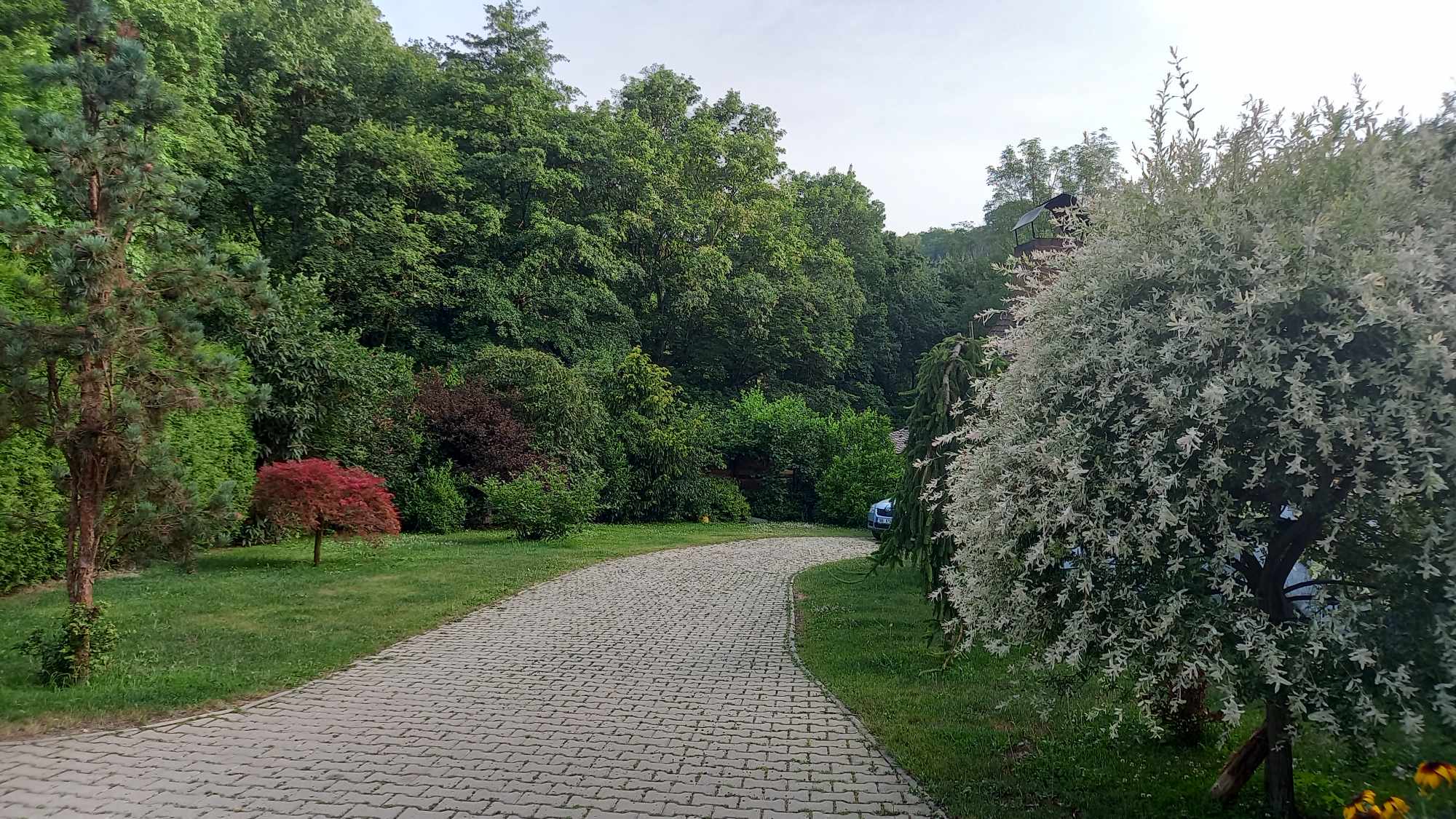 Penzion Hájovna u Dubu foto 2