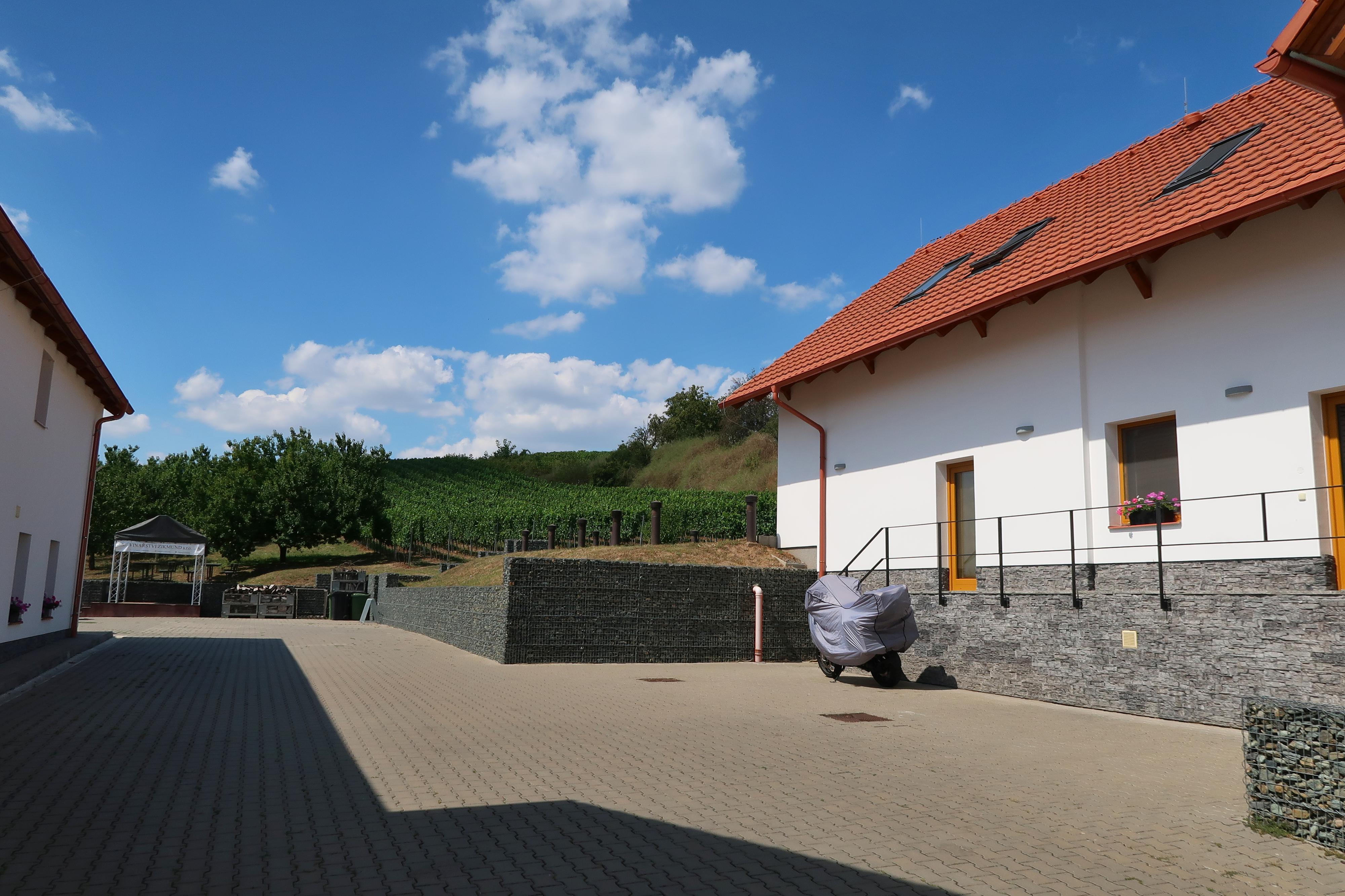 VINAŘSTVÍ ZIKMUND -  DEGUSTAČNÍ SKLEP foto 2