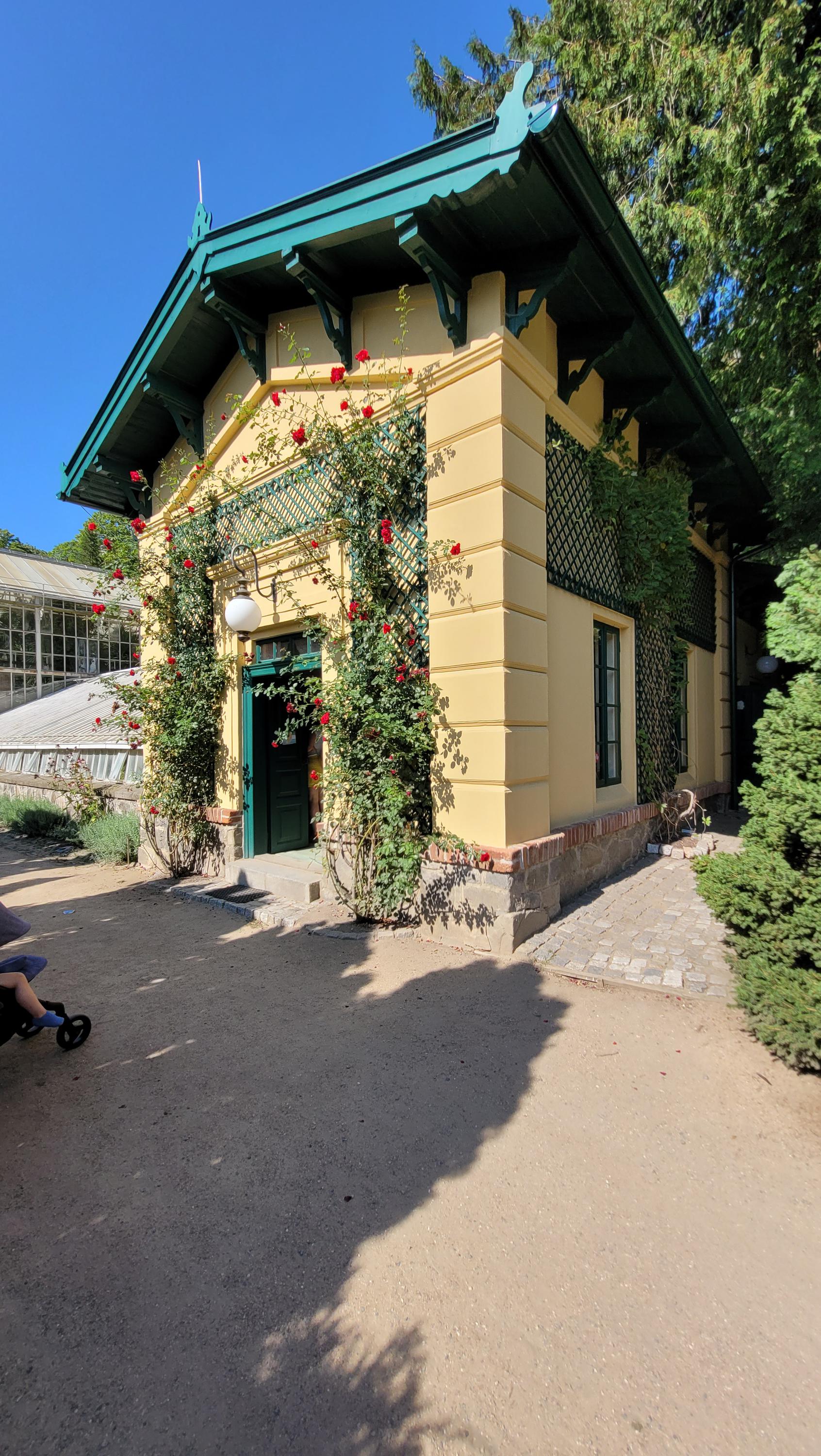 Růžová Kavárna foto 2