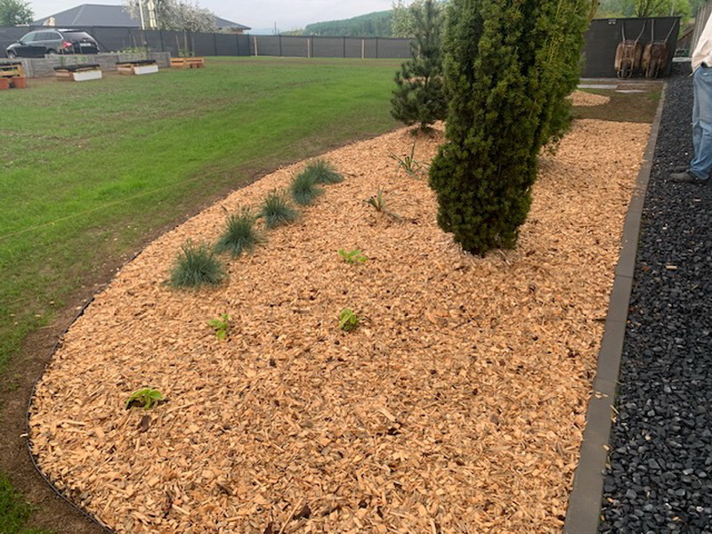 Mgr. Martin Honzek foto 4