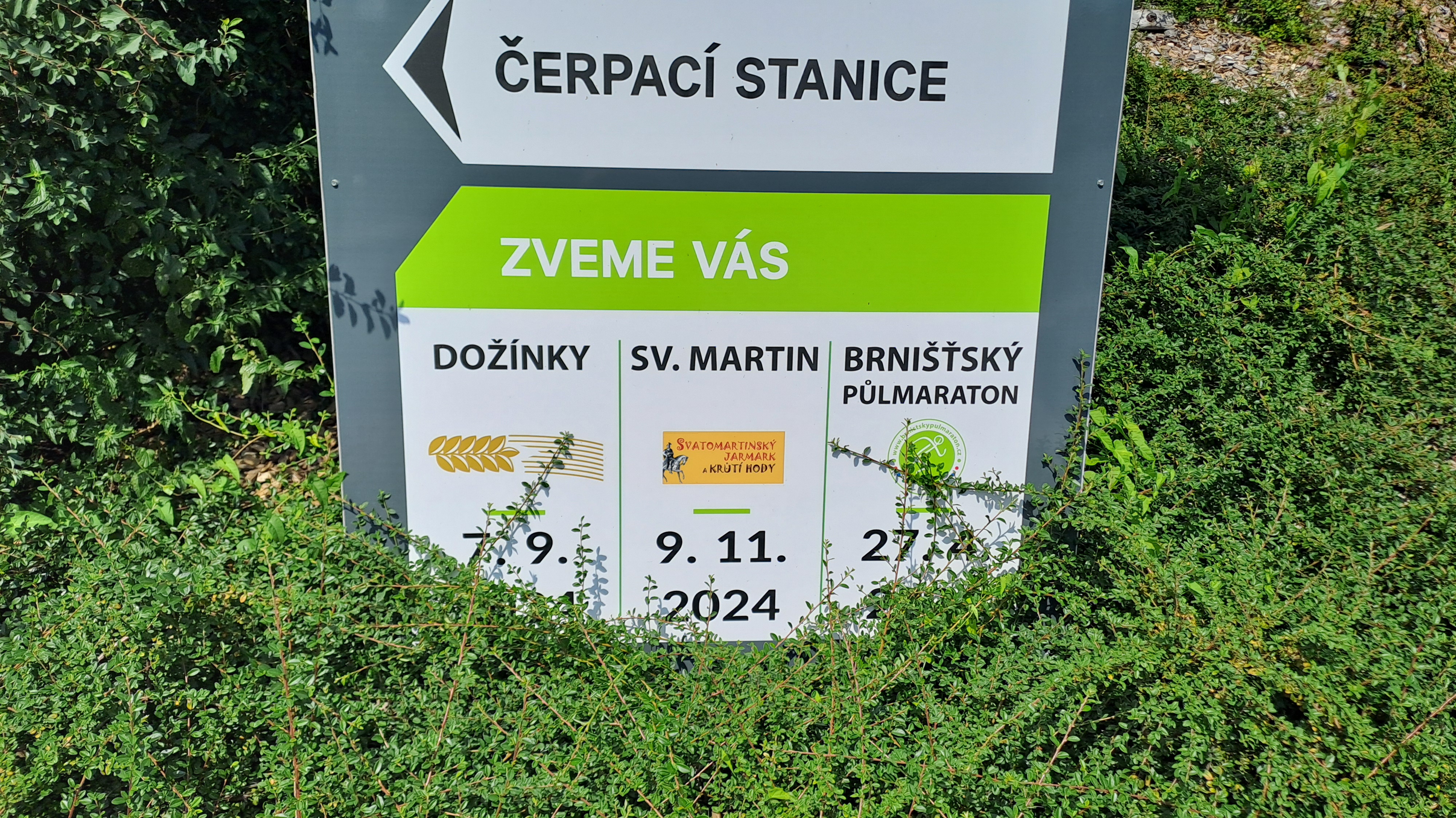 Prominent CZ - krutimaso.cz foto 2