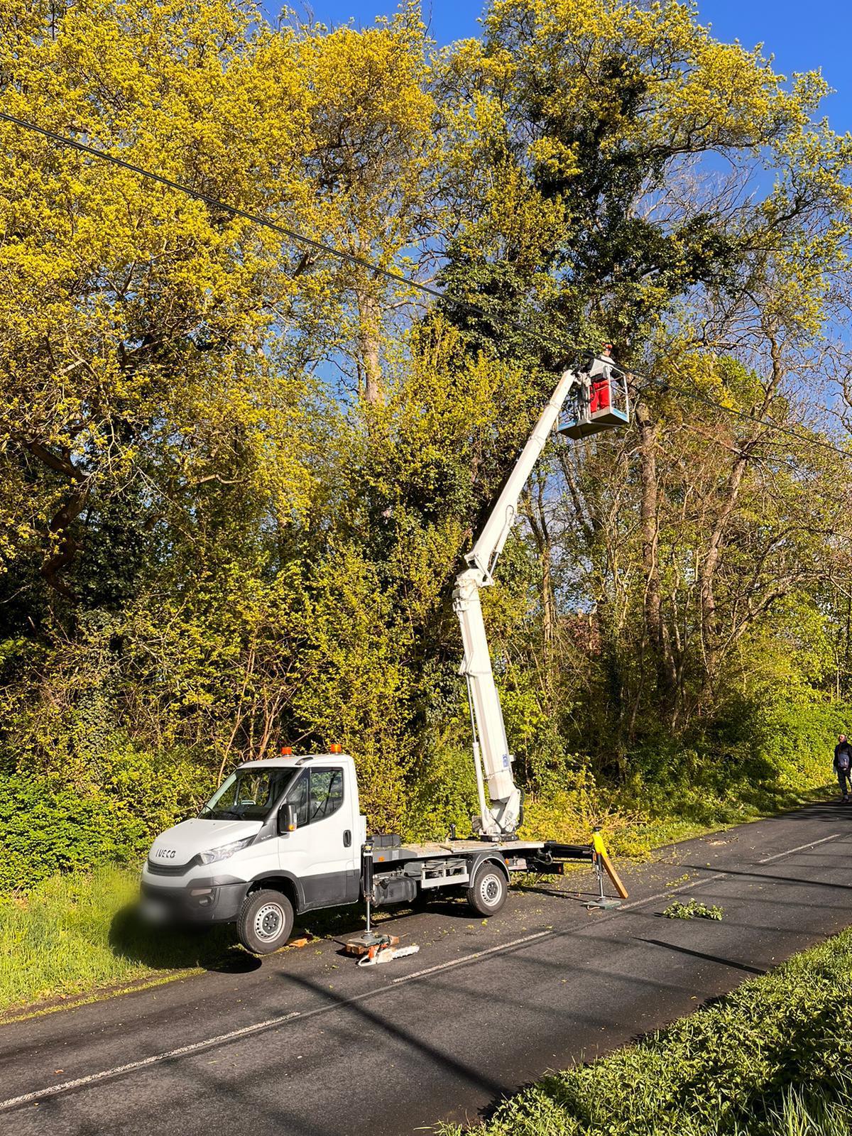 Rizikové kácení - stromolezectví  Radek Piskač foto 4