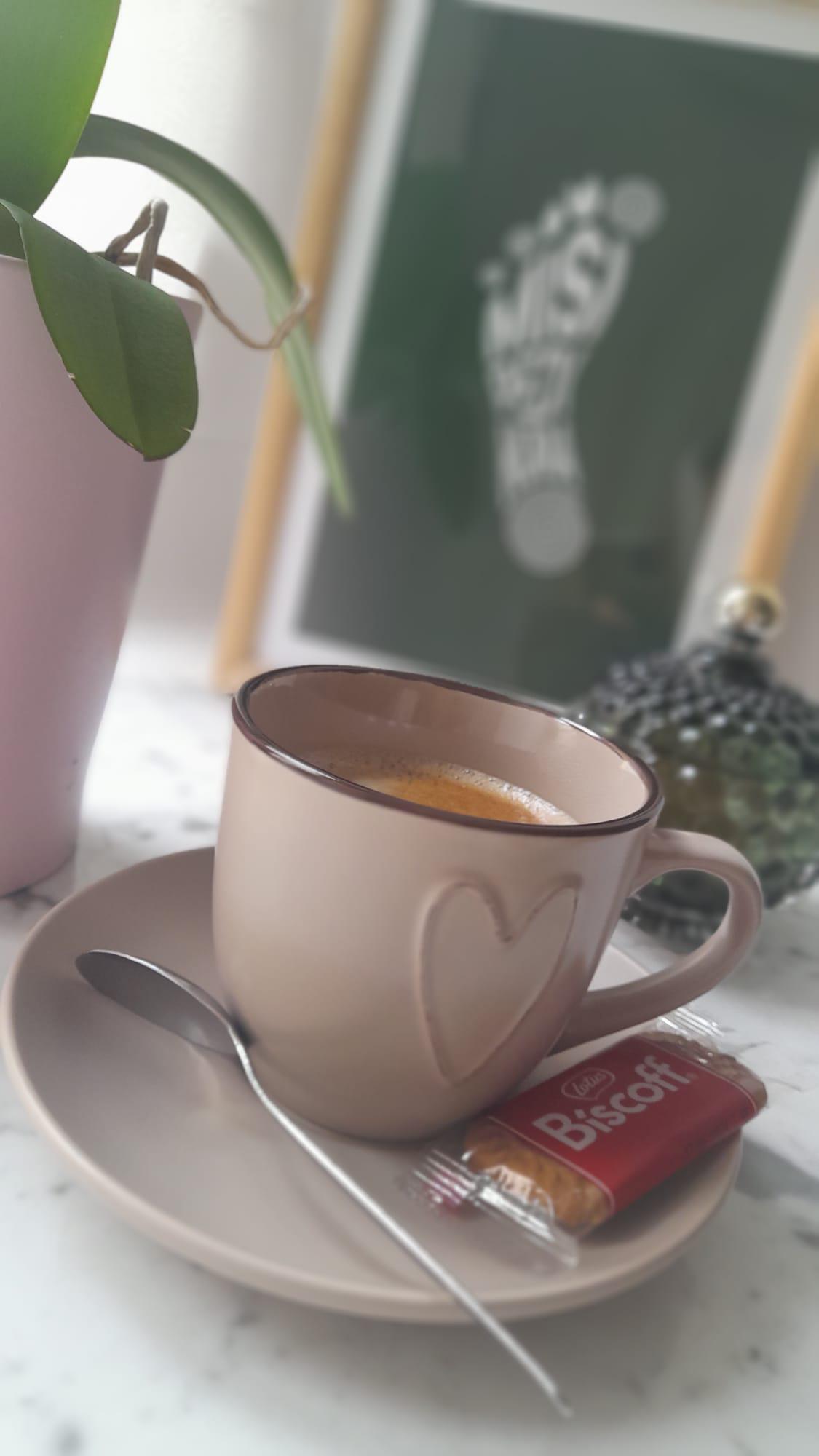 Míši pedikúra foto 5